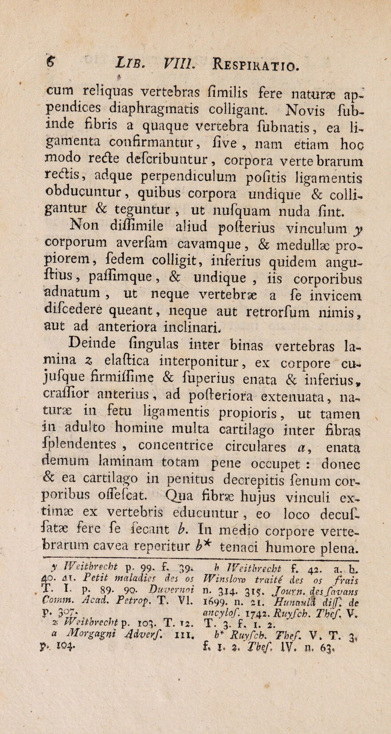 $ cum reliquas vertebras fimilis fere naturae ap« pendices diaphragmatis colligant. Novis fub- inde fibris a quaque vertebra fubnatis, ea li¬ gamenta confirmantur, live, nam etiam hoc modo rede defcribuntur, corpora vertebrarum redis, adque perpendiculum politis ligamentis obducuntur, quibus corpora undique & colli¬ gantur & teguntur , ut nufquam nuda fimt. Non diffimile aliud pofterius vinculum y corporum averfam cavamque, & medullae pro¬ piorem, fedem colligit, inferius quidem angu- ftius, paffimque, & undique , iis corporibus ad natum , ut neque vertebrae a fe invicem difcedere queant, neque aut retrorfum nimis, aut ad anteriora inclinari. Deinde Ungulas inter binas vertebras la¬ mina z elaftica interponitur, ex corpore cu- jufque firmilfime & fuperius enata & inferius, craffior anterius, ad pofteriora extenuata, na¬ turae in fetu ligamentis propioris, ut tamen in adulto homine multa cartilago inter fibras fiplendentes , concentrice circulares a, enata demum laminam totam pene occupet : donec & ea cartilago in penitus decrepitis fenum cor¬ poribus oflefcat. Qua fibrae hujus vinculi ex¬ timae ex vertebris educuntur , eo loco decuf- fatae fere fe iecant b. In medio corpore verte¬ brarum cavea reperifcur b* tenaci humore plena. y Weitbrecbt p, 99. f. 39. 40. 41. Petit maladies des os , T- I- p. 89* 9Q- Duvernoi Comm. Ac ai. Petrop. T. VI. V* 3°7* ^ Weitbrecbt p. 103. T. T2. a Morgagni Adverf. m. b Weitbrecbt f. 42. a. h. Winslow traiti des os frais n. 3J4* 31?» Journ. des favans 1699. n. 21. Hunmtlct di (fi de ancylof. 1742. Ruyfch. The/. V. T. 3. f. i. 2. b* Ruyfch. Thef. V. T. 3,