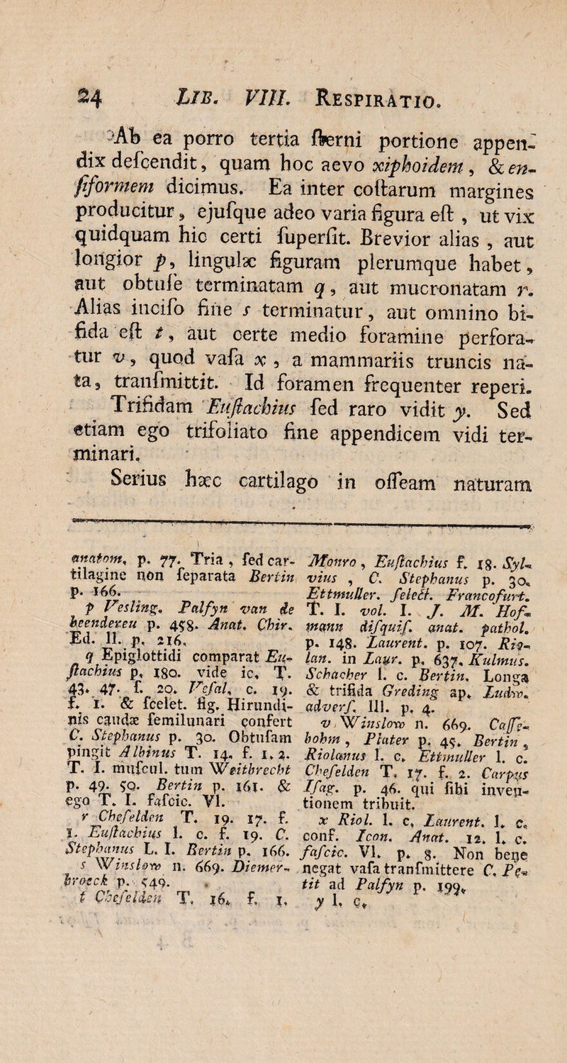 •Ab ea porro tertia ffrerni portione appen¬ dix defcendit, quam hoc aevo xiphoidem , &en- fiformem dicimus. Ea inter collarum margines producitur, ejufque adeo varia figura eft , ut vix quidquam hic certi fuperfit. Brevior alias , aut longior p, lingulx figuram plerumque habet, aut obtule terminatam q9 aut mucronatam r. Alias incifo fine r terminatur, aut omnino bi¬ fida eft t, aut certe medio foramine perfora-* tur v, quod vafa x 5 a mammariis truncis na¬ ta, tranfmittit. Id foramen frequenter reperi. Trifidam Eufiachius fed raro vidit y. Sed etiam ego trifoliato fine appendicem vidi ter¬ minari. Serius haec cartilago in ofTeam naturam vnatom. p. 77. Tria , fed car¬ tilagine non feparata Bertin p. 166. P Vesling, Palfyn van de beendeveu p. 4$g. Anat, Chir. Ed. 11. p, 216, q Epiglottidi comparat Eu* flachius p, ISO. vide ic. T. 43» 47. £ 20. VefaU c. 19. E i* & fcelet. lig. Hirundi¬ nis caudae femilunari confert C. Stephaniis p. 30. Obtufam pingit Albinus T. 14. f. 1.2. T. I. mufcul. tum Weitbrecht p. 49. $q. Bertin p. i6j. & ego T. I. fafcic. Yl. r Chefelden T. 19. 17. £ I. Eufiachius 1. c. £ 19. C. Stephaniis L. I. Bertin p. 166. y SFinsl&no n. 669. Diemer- brosck p. <49. t Chefelden T, 16, £ 1. Monro, Eufiachius f. 18. SyU vius , C. Stephanus p. 30« Ettmuller. felelf. Francofurt. T. I. vol. I. J. M. Hof» mann difquif. anat. pathol. p. 148. Laurent. p. 107. Riv-, lan. in Laur. p, 637, Kulmus. Schacher 1. c. Bertin, Longa & trifida Greding ap» Ludw. adverf, 111. p, 4. v, Winsloro n. 669. Caffim bobm , Flater p. 49» Bertin , Riolctnus I, c. Ettmuller 1. c. Chefelden T, 17. £ 2. Carpus Ifag. p. 46. qui libi inven¬ tionem tribuit. x Riol. 1. c, Laurent, L c, conf. Icon. Anat, 12. 1* c. fafcic, V£ p. s. Non bege negat vafa tranfmittere C, Pe« tit ad Palfyn p. 199* y 1- Ct