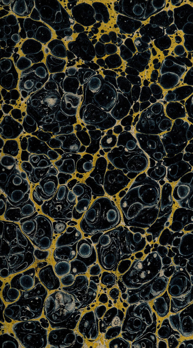 No text description is available for this image