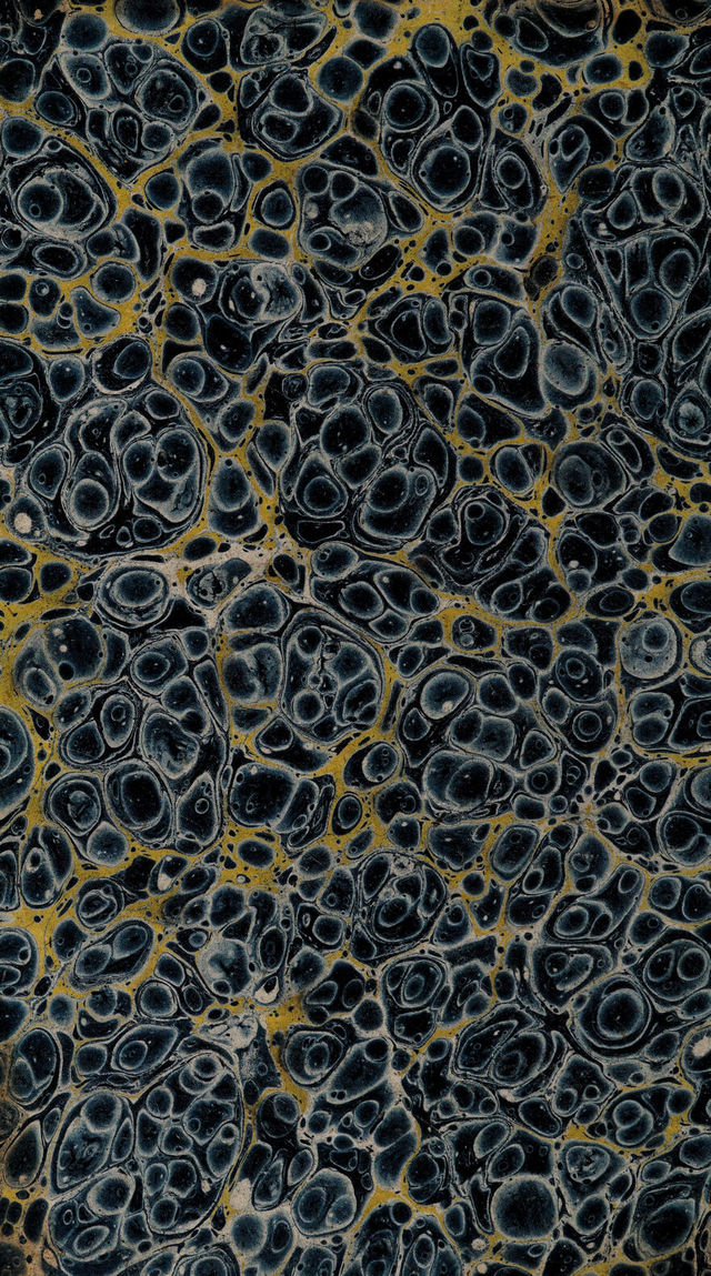 No text description is available for this image