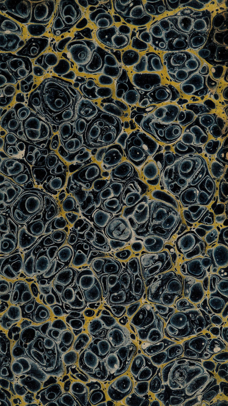 No text description is available for this image