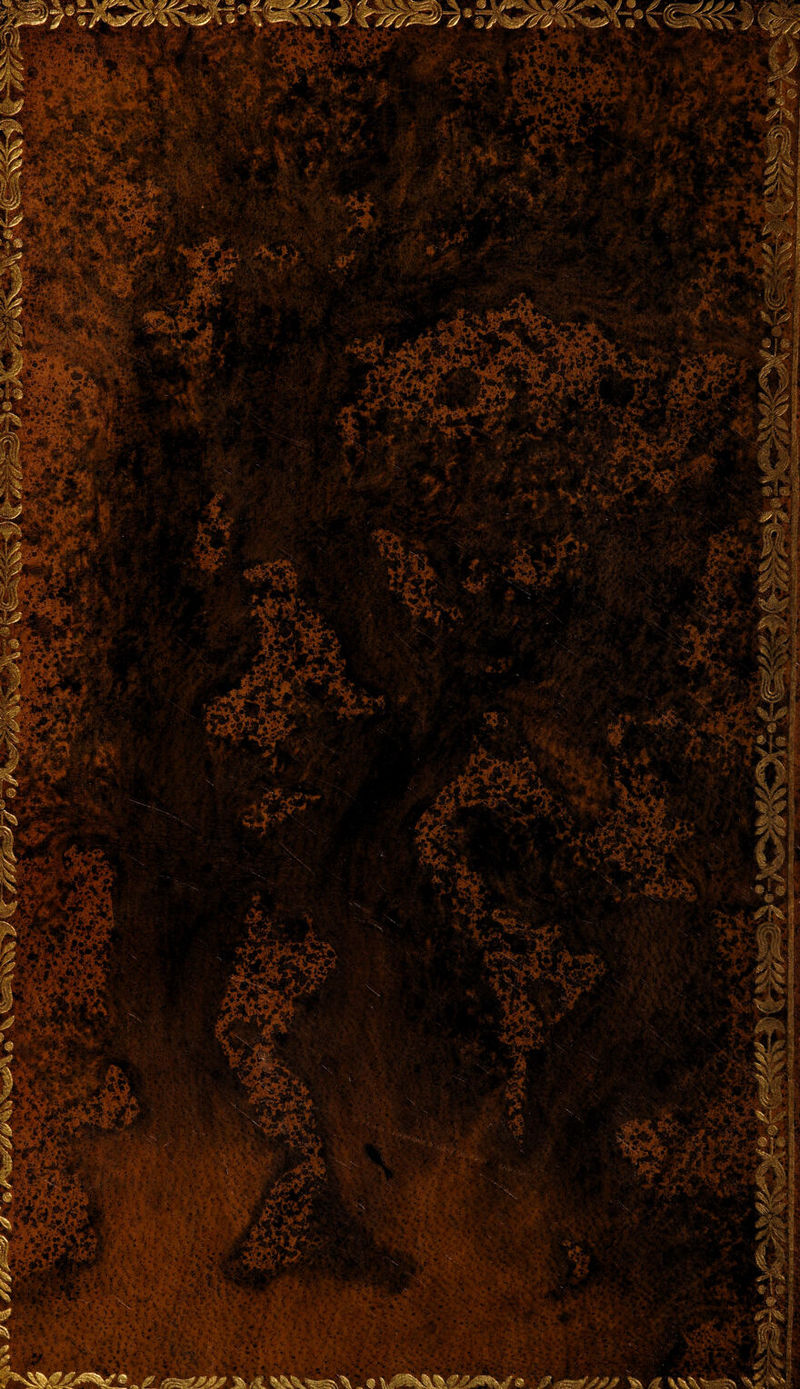 * y i o-y- ^ & «■>>^ ..-'y.y ,* r ., fe r