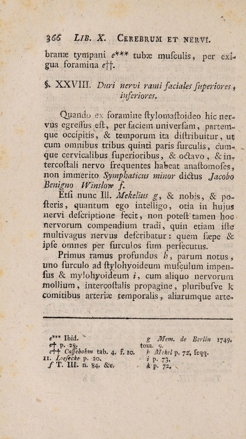 branse tytilpani &lt;?*** tubae mufculis, per exi¬ gua foramina eff. §v XXVIII. Duri nervi rami faciales fuperiores $ inferiores. Qpandu ex foramine ftylomattoidco hic ner¬ vus egreflus eft, per faciem univerfam, partem- que occipitis , &amp; temporum ita diftribuitur, ut cum omnibus tribus quinti paris furculis, cum¬ que cervicalibus fuperioribus, &amp; odiavo , &amp;in- tercoftali nervo frequentes habeat anaftomofes, non immerito Symphaticus minor dictus Jacobo Benigno Winslow f. Etfi nunc 111. Mekelius g9 &amp; nobis, &amp; po~ fteriSj quantum ego intelligo, otia in hujus nervi defcriptione fecit, non poteft tamen hoc nervorum compendium tradi, quin etiam iire multivagus nervus defcribatur: quem ikpe &amp; ipfe omnes per furculos fum perfecuttis. Primus ramus profundus h, parum notus , uno furculo ad ftylohyoideum mufculuniimpen- fus &amp; mylohyoideum i, cum aliquo nervorum mollium, intercoftalis propagine, pluribufve k comitibus arteriae temporalis, aliarumque arte- ■ ' .. . . - 1 i —... 1 ' ■ - -- - e*** Ibicb g Mem. de Berlin 1749* &lt;?+ p. 29&gt; tom. 9. Ctijfehohm tab. 4. f. io. h Mekel p. 74 fcqq, II. Lnefecke p. 20. i p. 7^