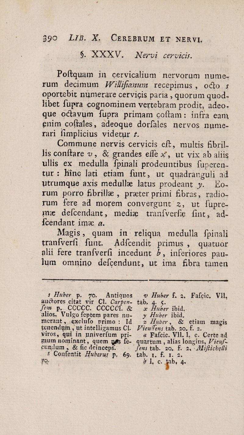 §. XXXV. Nervi cervicis. Poftquam in cervicalium nervorum nume¬ rum decimum Willifeanum recepimus , odio s oportebit numerare cervigis paria , quorum quod¬ libet fupra cognominem vertebram prodit, adeo, que odlavum fupra primam codam: infra eam £nim coftales, adeoque dorfales nervos nume¬ rari limplicius videtor t. Commune nervis cervicis efl, multis fibril¬ lis conflare v , &amp; grandes eife ut vix ab aiiis; ullis ex medulla fpinali prodeuntibus fuperen- tur : hinc lati etiam funt, ut quadranguli ad Utrumque axis medullae latus prodeant y. Eo¬ rum porro fibrillae , praeter primi fibras, radio¬ rum fere ad morem convergunt z, ut fupre- mae defcendant, mediae tranfverfie fint, ad- fcendant imae a. Magis, quam in reliqua medulla fpinali tranfverfi funt. Adfcendit primus , quatuor alii fere tranfverfi incedunt b, inferiores pau¬ lum omnino defcendunt, ut ima fibra tamen ——!--ttt— ---■—:-T--T-.- s Huber p. 70. Antiquos v Huber f, 2, Fafcic. Vll, auctores citat vir Cl. Carpen- t$b&gt; 4. 'fem p. CCCCC. CCCCCl. &amp; x Huber ibid. alios. Vulgo feptem pares nu- y Huber ibid. jnerant, qxclufo primo : Id 2 Huber, &amp; etiam magis tenendqm, ut intelligamus Cl. VieulTens tab. 20* f. 2. viros, qui in juiiverfum pri- a Fafcic. Vll* 1* c. Certe ad ipuin nominant, quem ^05 fe- quartum , alias longius, Vieuf-r cu p dum , &amp; fic deinceps. fens tab. 20. f. 2, - Mijlichelli t Confentit Hubems p. 69. tab. 1. f. 1. 2. fQ- b 1«. c. 4ab, 4.