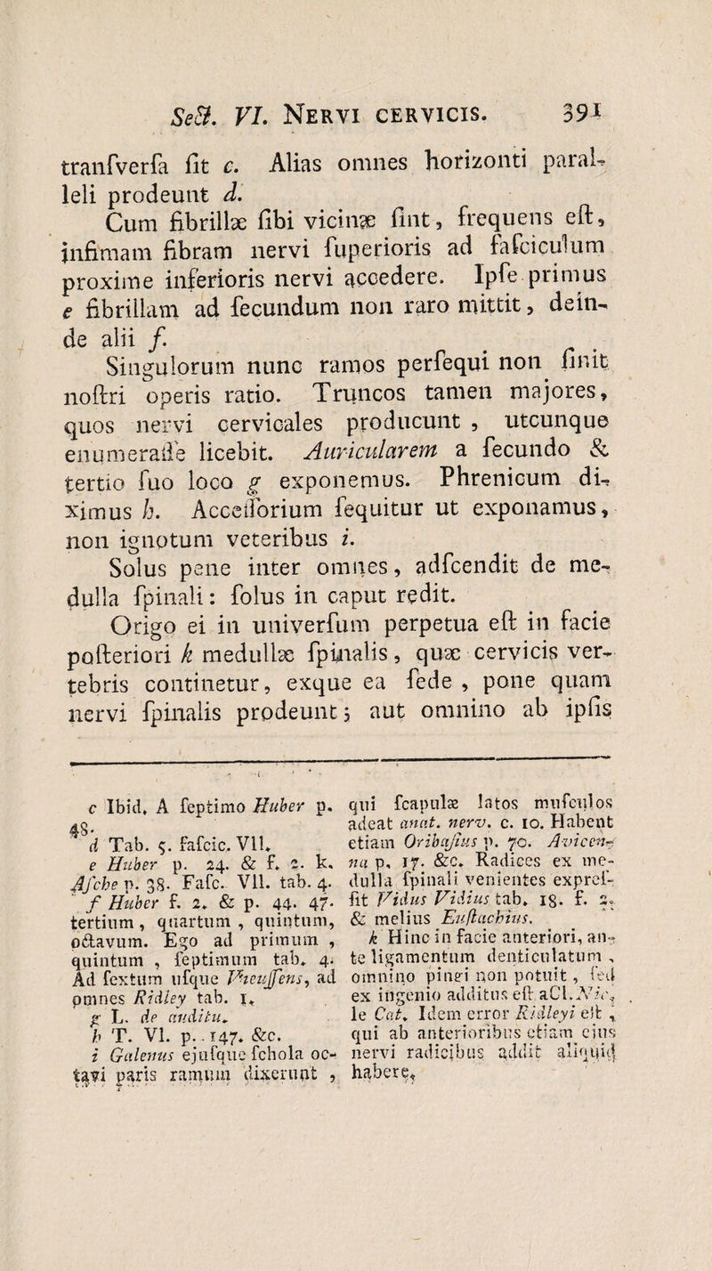 tranfverfa fit c. Alias omnes horizonti paraU leli prodeunt d. Cum fibrillae fibi vicinae fint, frequens eft, infimam fibram nervi fuperioris ad fafciculum proxime inferioris nervi accedere, Ipfe primus e fibrillam ad fecundum non raro mittit, dein¬ de alii /. Singulorum nunc ramos perfequi non finit noftri operis ratio. Truncos tamen majores, quos nervi cervicales producunt , utcunque enum erade licebit. Auriculureni a fecundo &amp; tertio fuo loco g exponemus. Phrenicum du ximus h. Acceiforium fequitur ut exponamus, non ignotum veteribus i. Solus pene inter omnes, adfcendit de me¬ dulla fpinali: folus in caput redit. Origo ei in univerfum perpetua eft in facie pofteriori k medulhe fpinalis, qux cervicis ver¬ tebris continetur, exque ea fede , pone quam nervi fpinalis prodeunti aut omnino ab ipfis c Ibid, A feptimo Huber p. 4-8 • d Tab. fafcic, Vll. e Huber p. 24. &amp; f. 2. k. Jfche p. 38- Fafc. Vll. tab. 4. f Huber f. 2. &amp; p. 44* 47- tertium, quartum, quintum, oftavum. Ego ad primum , quintum , feptimum tab. 4. Ad fextum ufque Fteujfens, ad omnes Ridley tab. 1. g L. de auditu. h T. VI. p.. 147. &amp;c. i Galenus ejufque fchola oc- ta^vi paris ramum dixerunt , qui fcapulae latos irsufculos adeat an at. nerv. c. 10. Habent etiam Oribajius p. 70. Avie en na p, 17. &amp;c. Radices ex me¬ dulla fpinali venientes expref¬ fit Fidus Fidius tab. ig. f. 2,. &amp; melius Euflacbtus, k Hinc in facie anteriori, an¬ te libamentum denticulatum , omnino pinei non potuit, fed ex ingenio additus eft aCft.Vf \7 le Cat. Idem error Ridleyi eft , qui ab anterioribus etiam eius nervi radicibus addit aliquid habere*