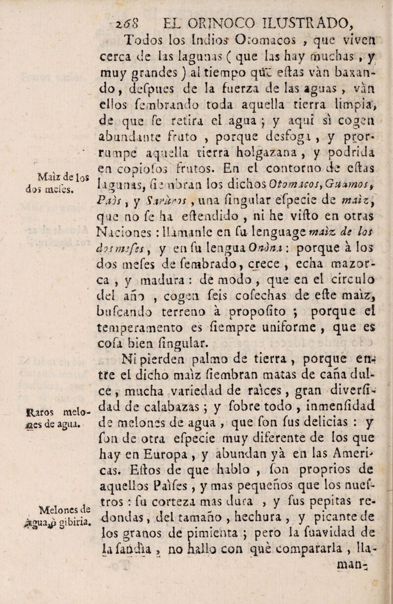 Maíz de los dos nieles. Raros melo¬ nes de agua. Melones de gibiria. z6S EL ORINOCO ILUSTRADO, Todos los Indios Chamacos , que viven cerca de las lagunas ( que las hay muchas , y muy grandes) al tiempo qúZ eíias van bagan¬ do , defpues de !a fuerza de las aguas , van ellos fe/nbrando toda aquella tierra limpia, de que fe retira el agua ; y aquí si cogen abundante fruto , porque desfoga , y pror¬ rumpe aquella tierra holgazana , y podrida en copíofos frutos. En el contorno de eílas lagunas, íiembran los dichos Otomacos, Guamos > Paos, y Samaos, una ííngular éfpecie de malz} que no fe ha eftendido , ni he vifto en otras Naciones: Uumanle en fa lenguage maíz de los dos me fes y y en fu lengua Ononx ; porque a los dos mefes defembrado, crece , echa mazor¬ ca ? y madura : de modo , que en el circulo del año , cogen feis cofechas de efte maíz* bufcando terreno a propofito *, porque el temperamento es íiempre uniforme , que es cofa bien ííngular. Ni pierden palmo de tierra , porque ena tre el dicho maíz íiembran matas de caña dul¬ ce , mucha variedad de raíces, gran diveríi- dad de calabazas; y fobre todo , inmeníidad de melones de agua , que fon fus delicias : y fon de otra efpecie muy diferente de los que hay en Europa , y abundan ya en las Amen- cas. Eftos de que hablo , fon proprios de aquellos Pa'ífes, y mas pequeños que los nucf- tros : fu corteza mas dura , y fus pepitas re¬ dondas, del tamaño , hechura , y picante de los granos de pimienta ; pero la fuavidad de lafandia > no hallo con que compararla , lla¬ man-