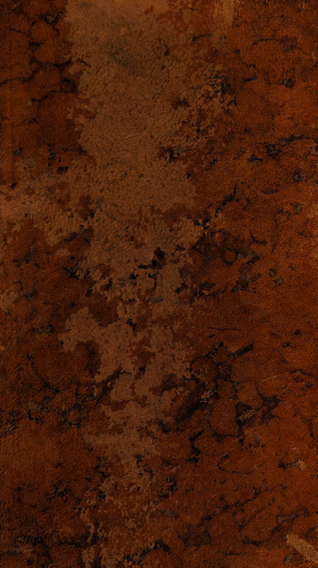 digitised image 1