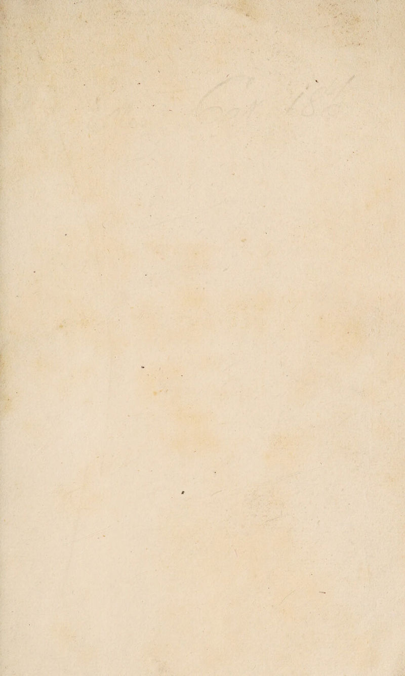 ■r. • ;:'S, v*iy v •'? ■ i \