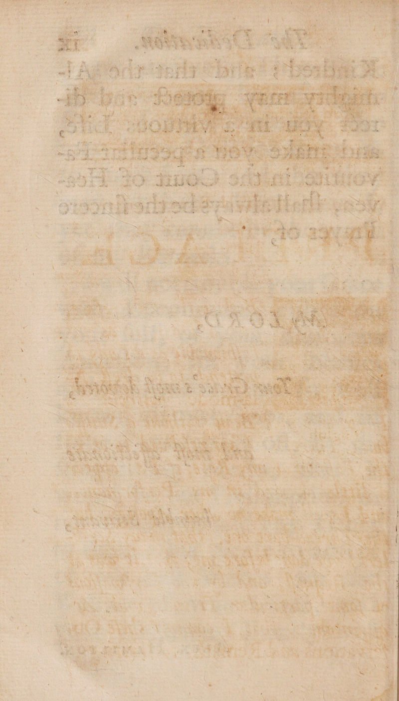 - • T 1 .... V . «. . ; '■ 9 ’t i •t, '*{> V A ; A 'A >■ 'v ■' ■; V ’lx* ■ J. V- ' ' l. t - i - ' ■ * v ' si • ' ' • v > a S*. f »•-, - X-.' r 4£- • - ■ £ . \ .• 'vU . i Si. ■ ? / - ; •. •• • OA- ■ •■>. !• -.*v e r* * ■*' ’• (. \ f v v * '*• \ > •» ... . ‘ *■ * ** ? ■'$'* W ’ f ■*,./ * * Jv- X V fc.'-c • ' ~r “t  *' • v - < • ■' * r >•• ■ • % r v • v *.v» •-■' 1 4 '•■ v i jj' . £ fi f. *4 4 . -■ / T > 4 ; v A ■ > 4> • - .9 * >■ .*■* ..Y - > v - i ' 4 •;. .v ... *. - * V v -v • * ■’ ;■> A - • , *- - I *r. ; v4V v v . 4. r* rs i - •>-’ ’ - *• m . t - - . •» -t. . ; : ;:/ A ’.N-- , : V -j - $• ' '• >s , s. V , V A. • • : . I >/ . i. c •. .4 * •■■ j ' , • •; r '•. .. /- ... ■ ' v • ’ -V - H> (-■ 1 \'i > W* iw ': -S4 *v i: 'S^ * N*. • l K ] Ss * ... r ’■ »-■ ^ h ■■.. ■. ■■ -i '■< ; ■ ■ >- «■ ' *■ ?' ... v ■ H : - ]' ;• - ■ •: ■ 5 ''. * t /. 'I. r ;5, |. v, 't ’/■ A ' 1 ' ■ x s.