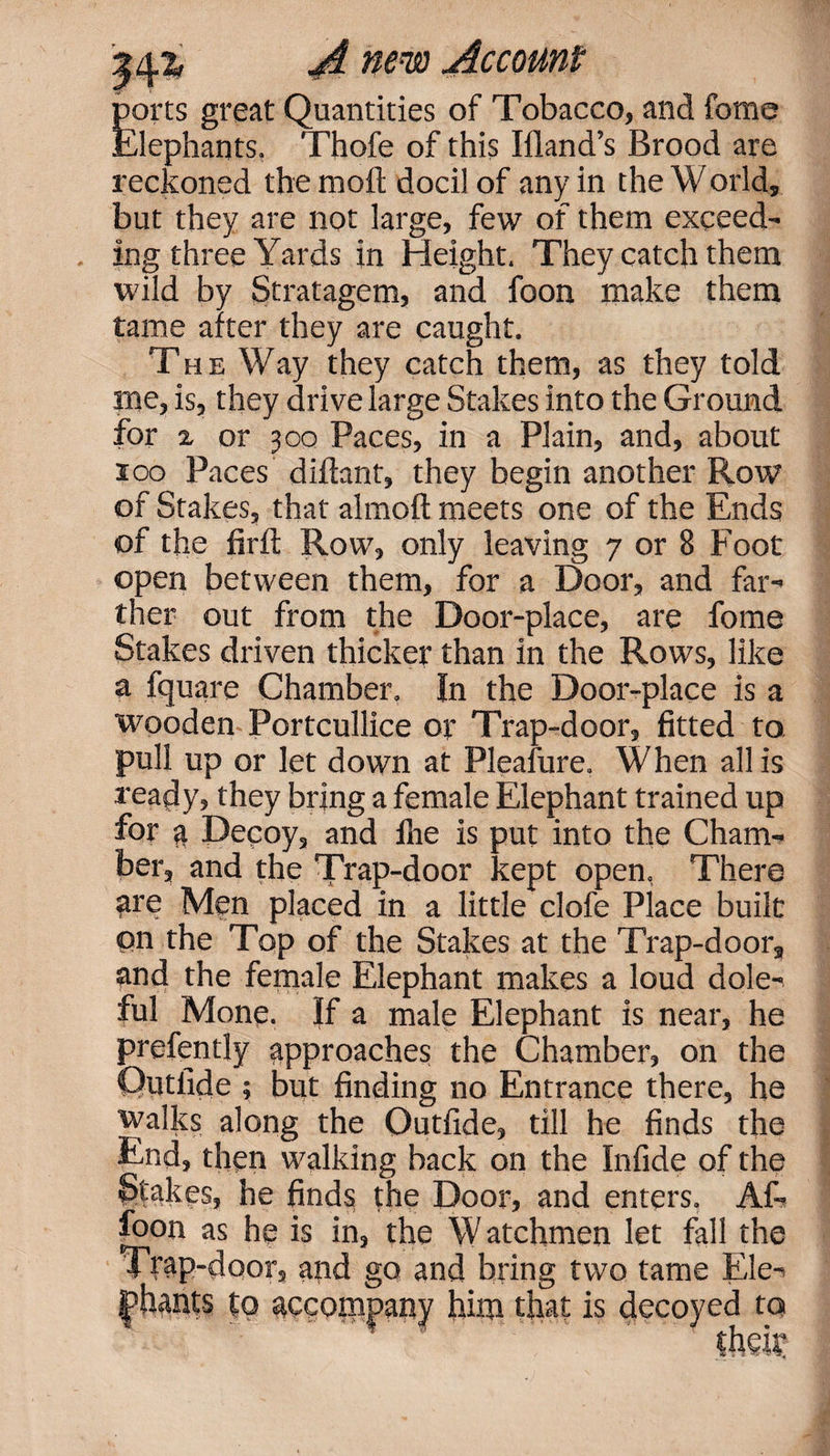ports great Quantities of Tobacco, and feme Elephants. Thofe of this Ifland’s Brood are reckoned the moil docil of any in the W orld, but they are not large, few of them exceed¬ ing three Yards in Height. They catch them wild by Stratagem, and foon make them tame after they are caught. The Way they catch them, as they told me, is, they drive large Stakes into the Ground for z or 300 Paces, in a Plain, and, about 100 Paces diftant, they begin another Row of Stakes, that alrnoft meets one of the Ends of the firft Row, only leaving 7 or 8 Foot open between them, for a Door, and far¬ ther out from the Door-place, are fome Stakes driven thicker than in the Rows, like a fquare Chamber. In the Door-place is a wooden Portcullice or Trap-door, fitted to pull up or let down at Pleafure. When all is ready, they bring a female Elephant trained up for 3 Decoy, and fire is put into the Cham¬ ber, and the Trap-door kept open. There ?re Men placed in a little clofe Place built on the Top of the Stakes at the Trap-door, and the female Elephant makes a loud dole¬ ful Mone. If a male Elephant is near, he prefently approaches the Chamber, on the Qutfide ; but finding no Entrance there, he walks along the Outfide, till he finds the End, then walking back on the Infide of the Stakes, he finds the Door, and enters. AR foon as he is in, the Watchmen let fall the . .... . , and go and bring two tame Ele¬ phants to accompany him that is decoyed to