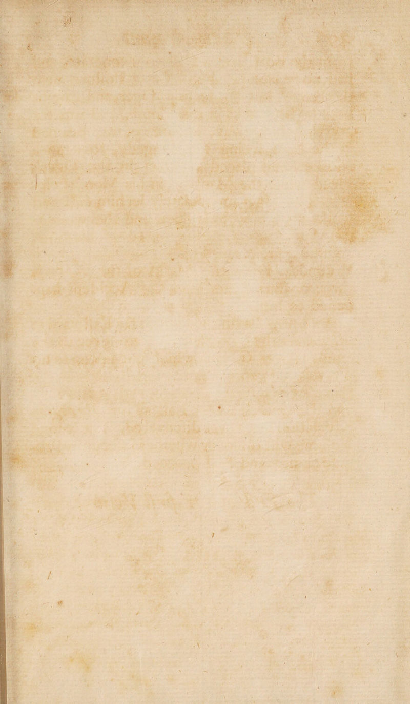 / / v' / \ * \ M . ' \ I