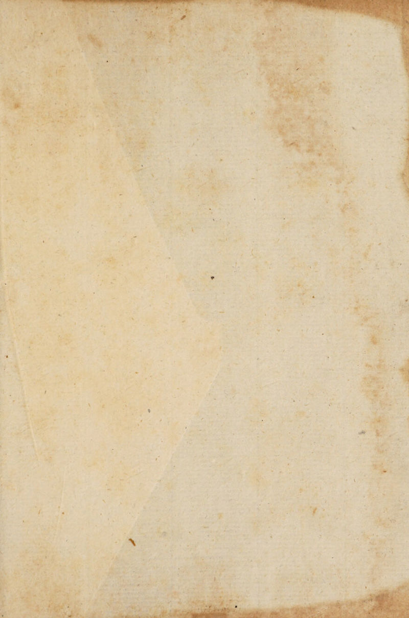 * f I f \ t ' s J * \ - / \ \ V - t k * ■ » fc». . •■í- .