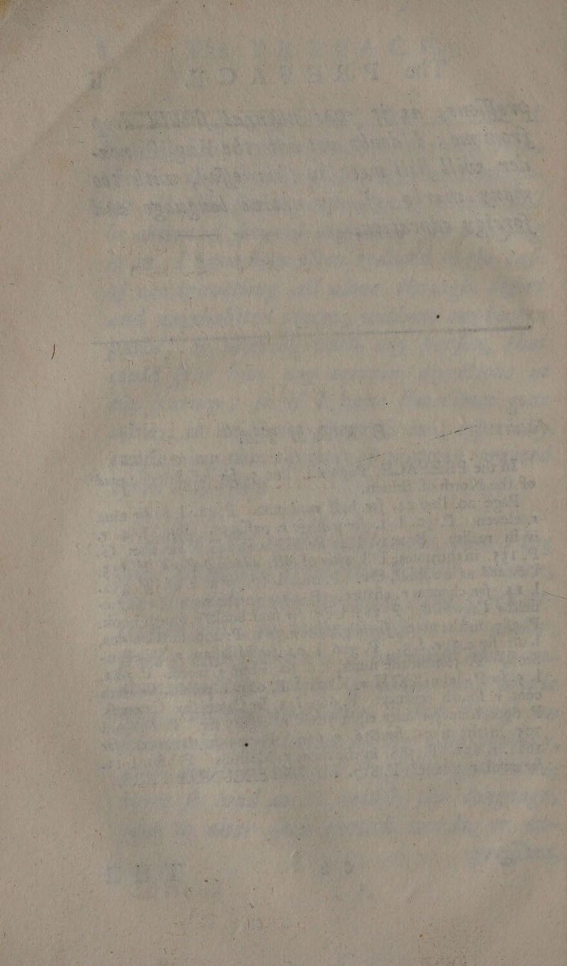 Tima) gt rae rh Neb ee ~~ LM . bear ny a ma Me RSD Yo