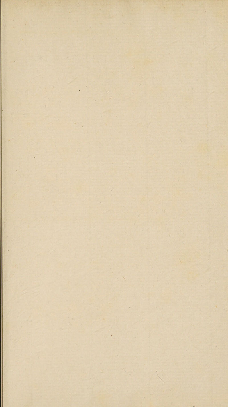 -• 1 ' I ) vl ' ■ ■ 1