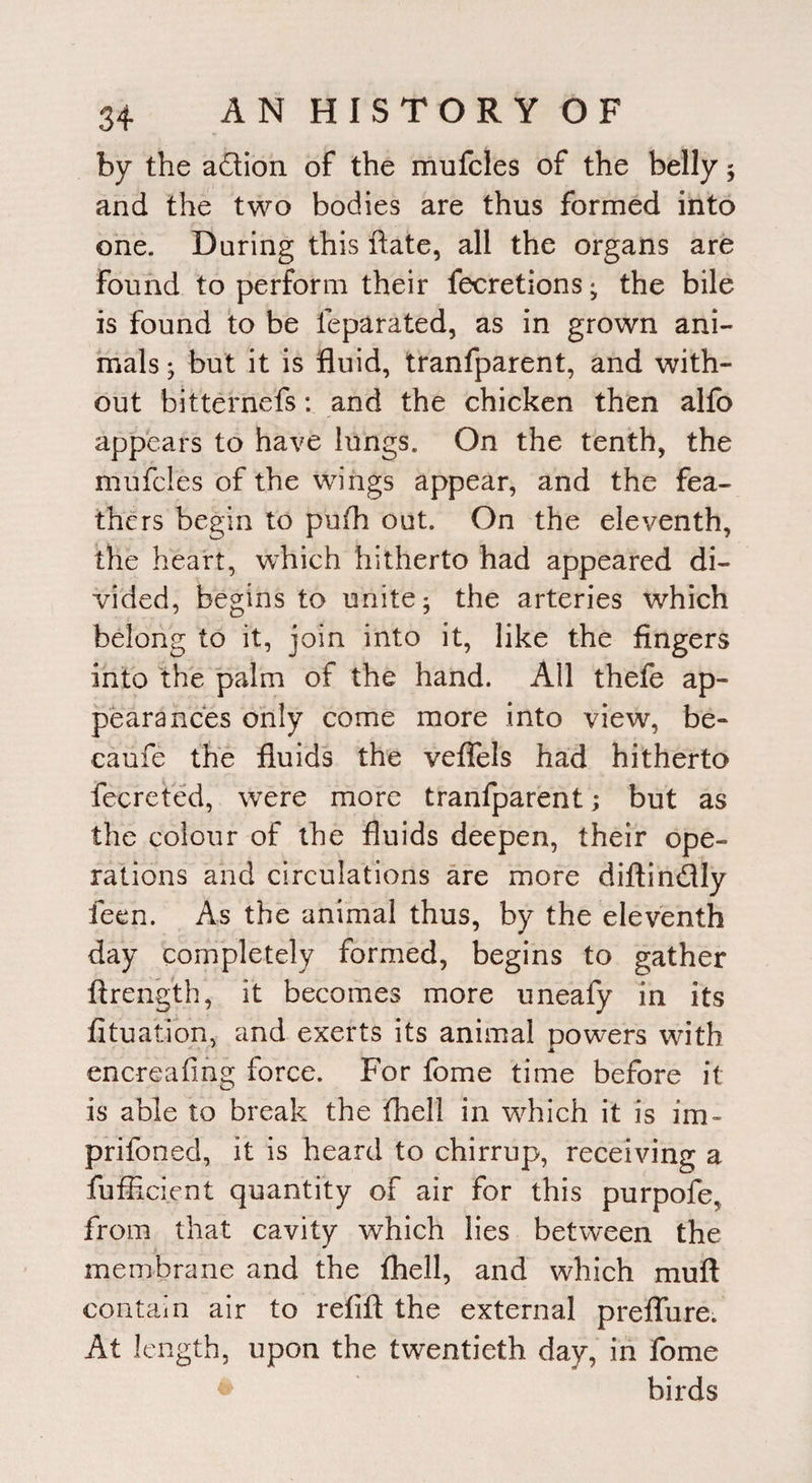 by the adion of the mufcles of the belly ; and the two bodies are thus formed into one. Daring this ilate, all the organs are found to perform their fecretions • the bile is found to be feparated, as in grown ani¬ mals ; but it is fluid, tranfparent, and with¬ out bitternefs: and the chicken then alfo appears to have lungs. On the tenth, the mufcles of the wings appear, and the fea¬ thers begin to pufh out. On the eleventh, the heart, which hitherto had appeared di¬ vided, begins to unite; the arteries which belong to it, join into it, like the fingers into the palm of the hand. All thefe ap¬ pearances only come more into view, be- caufe the fluids the veffels had hitherto fecreted, were more tranfparent; but as the colour of the fluids deepen, their ope¬ rations and circulations are more diftindly feen. As the animal thus, by the eleventh day completely formed, begins to gather ftrength, it becomes more uneafy in its fituation, and exerts its animal powers with encreafmg force. For fome time before it is able to break the fhell in which it is im- prifoned, it is heard to chirrup, receiving a fufficient quantity of air for this purpofe, from that cavity which lies between the membrane and the fhell, and which muft contain air to refill the external preflure. At length, upon the twentieth day, in fome birds