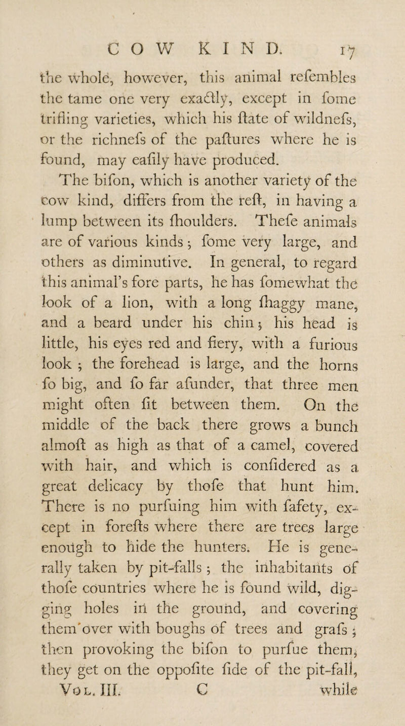 the whole, however, this animal refembles the tame one very exadly, except in fome trifling varieties, which his ftate of whldnefs, or the richnefs of the paftnres where he is found, may eafily have produced. The bifon, wTich is another variety of the COW’ kind, differs from the reft, in having a lump between its fhoulders. Thefe animals are of various kinds ^ fome very large, and others as diminutive. In general, to regard this animal’s fore parts, he has fomewhat the look of a lion, wdth a long fhaggy mane, and a beard under his chin ^ his head is little, his eyes red and fiery, with a furious look ; the forehead is large, and the horns fo big, and fo far afunder, that three men might often fit between them. On the middle of the back there grows a bunch almoft as high as that of a camel, covered wath hair, and which is confidered as a great delicacy by thofe that hunt him. There is no purfuing him with fafety, ex-- cept in forefts where there are trees large enough to hide the hunters. Fie is gene-^ rally taken by pit-falls; the inhabitants of thofe countries where he is found wild, dig¬ ging holes ill the ground, and covering them'over with boughs of trees and grafs ; then provoking the bifon to purfue theiUj tliey get on the oppofite fide of the pit-fall, Vo L. III. C xvhik