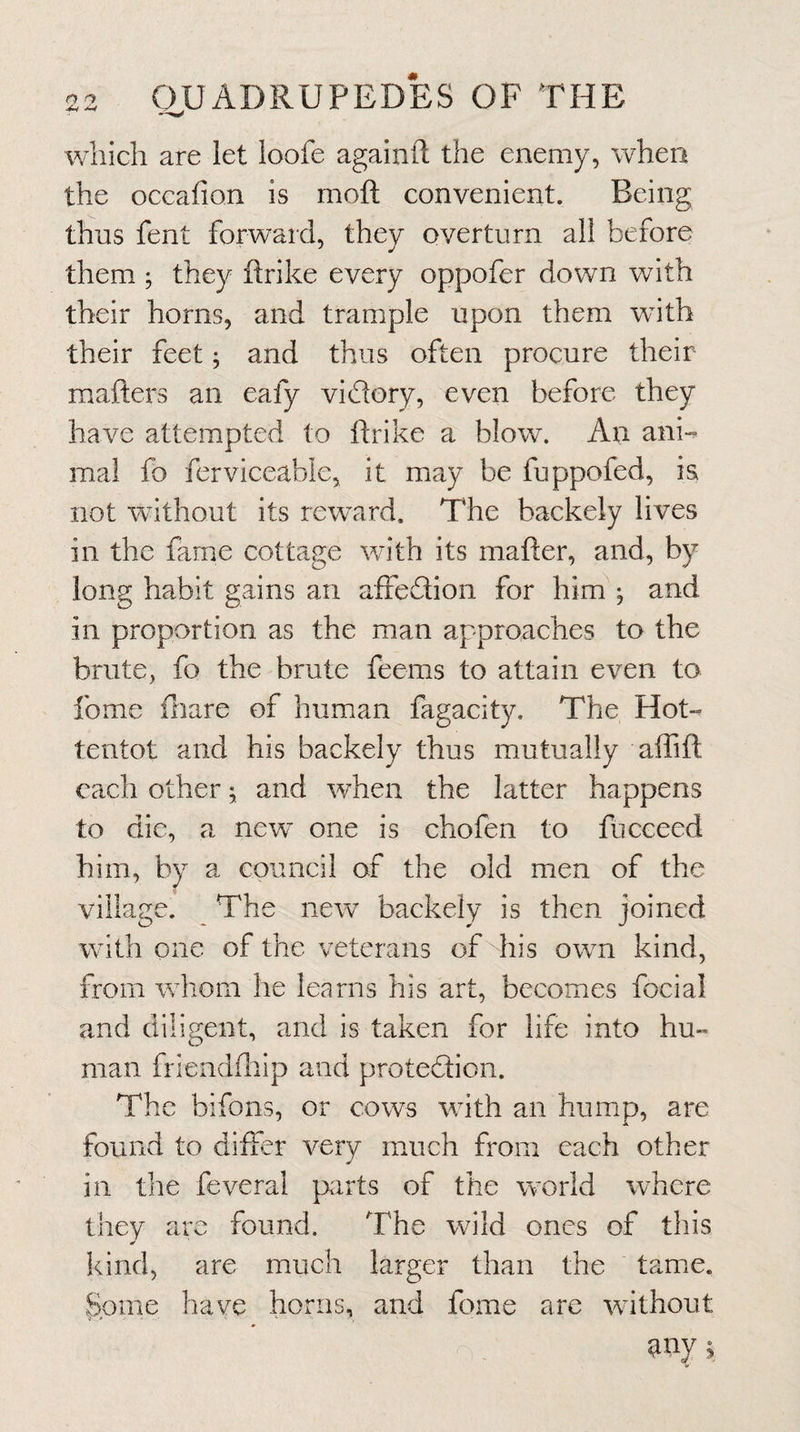 which are let loofe againft the enemy, when the occafion is moft convenient. Being thus fent forward, they overturn all before them ; they ftrike every oppofer down vAth their horns, and trample upon them with their feet; and thus often procure their mafters an eafy vidory, even before they have attempted to ftrike a blow. An ani¬ mal fo ferviceable, it may be fuppofed, is not without its reward. The backely lives in the fame cottage with its mafter, and, by long habit gains an affedion for him ^ and in proportion as the man approaches to the brute, fo the brute feems to attain even to fome fnare of human fagacity. The Hot- tentot and his backely thus mutually aflift each other; and when the latter happens to die, a new one is chofen to fuceeed him, by a council of the old men of the village. _ The new backely is then joined with one of the veterans ofdiis own kind, from whom he learns his art, becomes focial and diligent, and is taken for life into hu¬ man frienddiip and protedion. The bifons, or cows with an hump, are found to differ very much from each other in tlie feveral parts of the world where they are found. The wild ones of this kind, are much larger than the tame. Some have horns, and fome are wdthout wy;