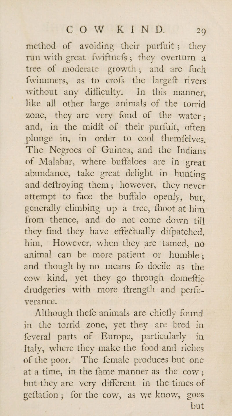 method of avoiding their purfuit ; they run with great Iwiftnefs; they overturn a tree of moderate growth; and are fuch fwiminers, as to crofs the larged: rivers without any difficulty. In this manner, like all other large animals of the torrid zone, they are very fond of the water; and, in the midd of their purfuit, often plunge in, in order to cool themfelves. The Negroes of Guinea, and the Indians of Malabar, where budaloes are in great abundance, take great delight in hunting and dedroying them ; hownver, they never attempt to face the buffalo openly, but, generally climbing up a tree, ffioot at him from thence, and do not come down till they find they have effectually difpatched. him. However, when they are tamed, no animal can be more patient or humble; and though by no means fo docile as the cow kind, yet they go through domedic drudgeries with more drength and perfe- verance. Although thefe animals are chiefly found in the torrid zone, yet they are bred in feveral parts of Europe, particularly in Italy, where they make the food and riches of the poor. The female produces but one at a time, in the fame manner as the cow ; but they are very different in the times of gcflation j for the cow, as we know, goes but