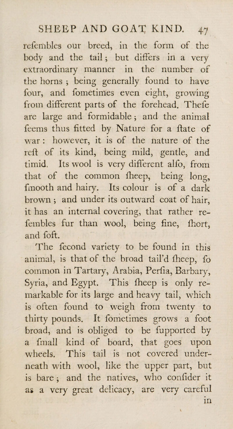 refembles our breed, in the form of the body and the tail; but differs in a very extraordinary manner in the number of tlie horns ; being generally found to have four, and fometimes even eight, growing from different parts of the forehead. Thefe are large and formidable; and the animal fcems thus fitted by Nature for a ftate of war : however, it is of the nature of the reft of its kind, being mild, gentle, and timid. Its wool is very different alfo, from that of the common flieep, being long, fmooth and hairy. Its colour is of a dark brown ; and under its outward coat of hair, it has an internal covering, that rather re¬ fembles fur than wool, being fine, fhort, and foft. The fecond variety to be found in this animal, is that of the broad tail’d fheep, fo common in Tartary, Arabia, Perfia, Barbary, Syria, and Egypt. This fheep is only re¬ markable for its large and heavy tail, which is often found to weigh from twenty to thirty pounds. It fometimes grows a foot broad, and is obliged to be fupporled by a fmall kind of board, that goes upon wheels. This tail is not covered under¬ neath with w^ool, like the upper part, but is bare ; and the natives, who confider it as a very great delicacy, are very careful in V