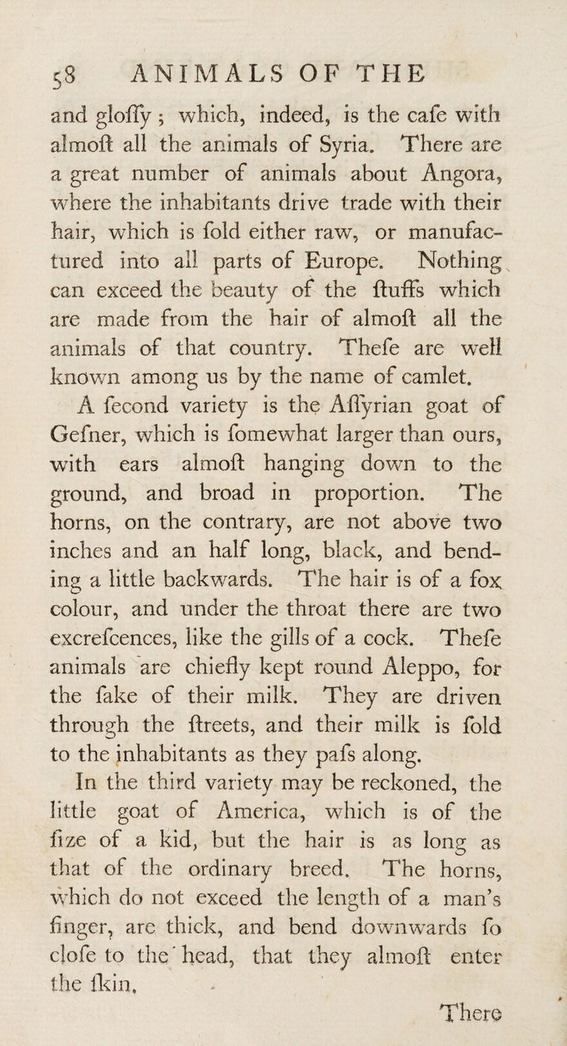 and gloffy ; which, indeed, is the cafe with almoft all the animals of Syria. There are a great number of animals about Angora, where the inhabitants drive trade with their hair, which is fold either raw, or manufac¬ tured into all parts of Europe. Nothing can exceed the beauty of the fluffs which are made from the hair of almoft all the animals of that country. Thefe are well known among us by the name of camlet. A fecond variety is the Aflyrian goat of Gefner, which is fomewhat larger than ours, with ears almoft hanging down to the ground, and broad in proportion. The horns, on the contrary, are not above two inches and an half long, black, and bend¬ ing a little backw^ards. The hair is of a fox colour, and under the throat there are two excrefcences, like the gills of a cock. Thefe animals are chiefly kept round Aleppo, for the fake of their milk. They are driven through the ftreets, and their milk is fold to the inhabitants as they pafs along. In the third variety may be reckoned, the little goat of America, which is of the fize of a kid, but the hair is as long as that of the ordinary breed. The horns, which do not exceed the length of a man’s Anger, are thick, and bend do'wnw^ards fo dofe to the'head, that they almoft enter the {kin,