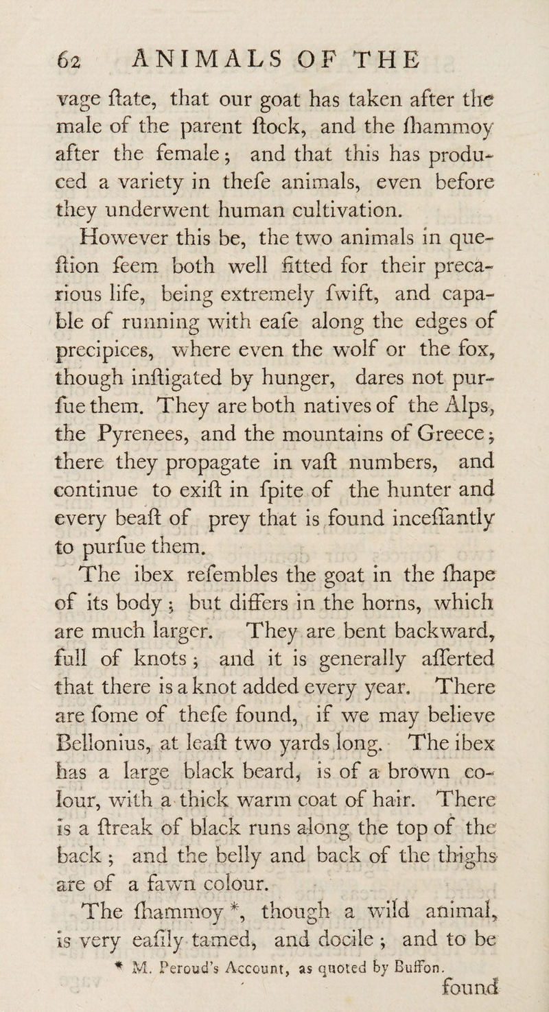 vage ftatc, that our goat has taken after the male of the parent flock, and the lhammoy after the female; and that this has produ* ced a variety in thefe animals, even before they underwent human cultivation. However this be, the two animals in que- ftion feem both well fitted for their preca¬ rious life, being extremely fwift, and capa¬ ble of running with eafe along the edges of precipices, where even the wolf or the fox, though inftigated by hunger, dares not pur- fue them. They are both natives of the Alps, the Pyrenees, and the mountains of Greece ^ there they propagate in vaft numbers, and continue to exifl in fpite of the hunter and every beaft of prey that is found inceffantly to purfue them. The ibex refembles the goat in the fhape of its body , but differs in the horns, which are much larger. They are bent backward, full of knots 5 and it is generally afferted that there is a knot added every year. There are fome of thefe found, if we may believe Bellonius, at leaft two yards long. The ibex has a large black beard, is of a brown co¬ lour, with a thick warm coat of hair. There is a ftreak of black runs along the top of the back ; and the belly and back of the thighs are of a fawn colour. The fhammoy *, though a wild animal, is very eafily tamed, and docile ; and to be * M. Peroud’s Account, as quoted by BufFon. found