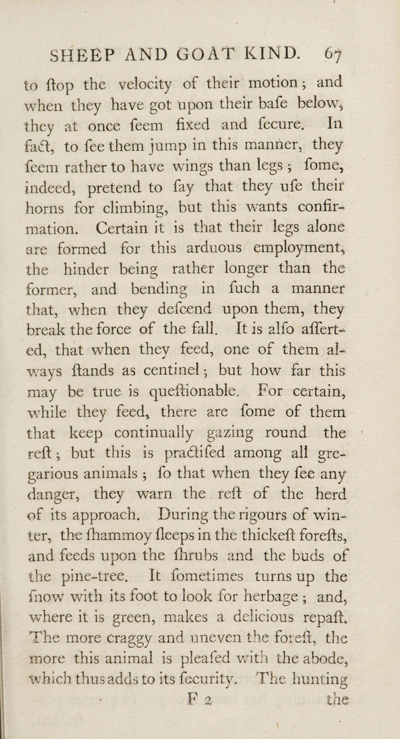 I SHEEP AND GOAT KIND. 67 to ftop the velocity of their motion; and when they have got upon their bafe below^ they at once feem fixed and fecure. In fad, to fee them jump in this manner, they feem rather to have wings than legs; fome, indeed, pretend to fay that they ufe theit horns for climbing, but this wants confir¬ mation. Certain it is that their legs alone are formed for this arduous employment, the hinder being rather longer than the former, and bending in fuch a manner that, when they defcend upon them, they break the force of the fall. It is alfo alfert- ed, that when thev feed, one of them al- ways ftands as centinel; but how far this may be true is queftionable. For certain, while they feed, there are fome of them that keep continually gazing round the ' reft; but this is pradifed among all gre¬ garious animals ; fo that when they fee any danger, they warn the reft of the herd of its approach. During the rigours of win¬ ter, the fhammoy fleeps in the thickeft forefts, and feeds upon the fiirubs and the buds of the pine-tree. It fometimes turns up the fnow with its foot to look for herbage *, and, where it is green, makes a delicious repaft. The more craggy and uneven the foreft, the more this animal is pleafed with the abode, which, thus adds to its fecurity. The hunting F % the I