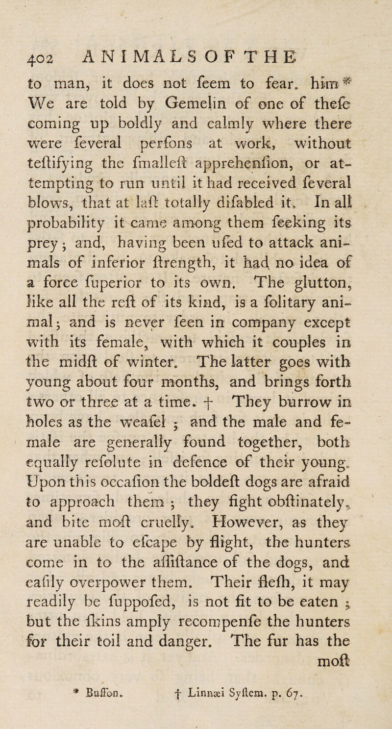 to man, it does not feem to fear, bim;^ We are told by Gemelin of one of thefe coming up boldly and calmly where there w^ere feveral perfons at work, without teftifying the fmalleft apprehenfion, or at-» tempting to run until it had received feveral blows, that at laft totally difabled it. In all probability it name among them feeking its prey ^ and, having been ufed to attack ani¬ mals of inferior ftrength, it had no idea of a force fuperior to its own. The glutton, like all the reft of its kind, is a folitary ani¬ mal; and is never feen in company except with its female, with which it couples in the midft of winter. The latter goes with young about four months, and brings forth two or three at a time, f They burrow in holes as the weafel ; and the male and fe- ' male are generally found together, both equally refolute in defence of their young. Upon this occafion the boldeft dogs are afraid to approach them ; they fight obftinately, and bite inoft cruelly. However, as they are unable to efcape by flight, the hunters come in to the afliftance of the dogs, and eafily overpower them. Their flefh, it may readily be fuppofed, is not fit to be eaten ^ but the fl^ins amply recompenfe the hunters for their toil and danger. The fur has the moft * Buffbn. f Linnsei Sjftem. p. 67.