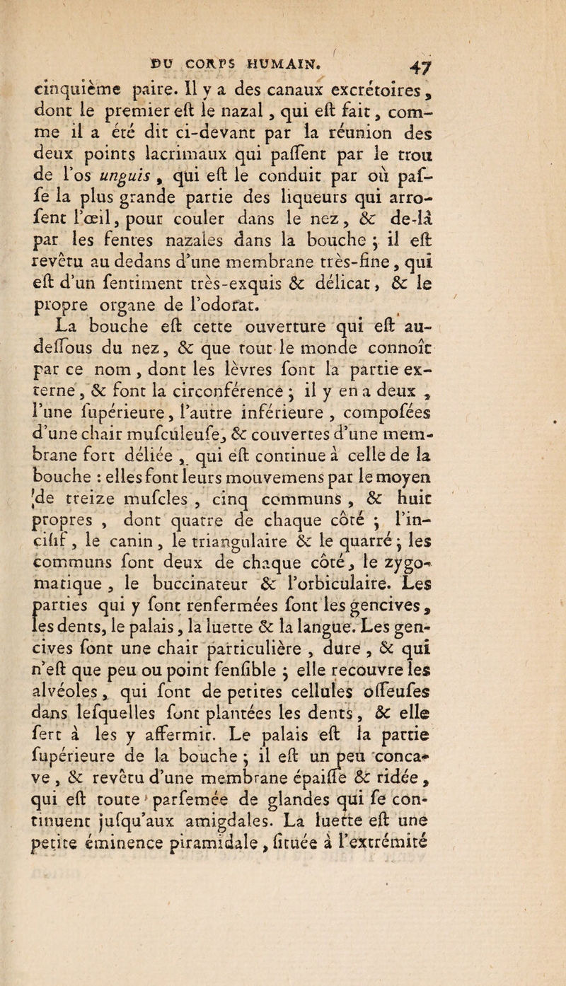 ( DU CORPS HUMAIN. 4y cinquième paire. Il y a des canaux excrétoires , dont le premier eft le nazal, qui eft fait, com¬ me il a été dit ci-devant par la réunion des deux points lacrimaux qui paffent par le trou de l’os unguis , qui eft le conduit par où paf- fe la plus grande partie des liqueurs qui arro- fent T œil, pour couler dans le nez, 6c deda par les fentes nazales dans la bouche j il eft revêtu au dedans d’une membrane très-fine, qui eft d’ un fentiment très-exquis 6c délicat, 6c le propre organe de l’odorat. La bouche eft cette ouverture qui eft au- deffous du nez, 6c que tout le monde connoît par ce nom, dont les lèvres font la partie ex¬ terne , & font la circonférence j il y en a deux * l’une fupérieure, l’autre inférieure , compofées d’une chair mufculeufe, 6c couvertes d’une mem¬ brane fort déliée , qui eft continue à celle de la bouche : elles font leurs mouvemens par le moyen |de treize mufcîes , cinq communs , & huit propres , dont quatre de chaque coté * l’in- cihf, le canin, le triangulaire 6c le quarré* les communs font deux de chaque coté, le zygo^ matique , le buccinateur 6c l’orbiculaire. Les parties qui y font renfermées font les gencives , les dents, le palais, la luette 6c la langue. Les gen¬ cives font une chair particulière , dure , & qui n’eft que peu ou point fenfible } elle recouvre les alvéoles, qui font de petites cellules offeufes dans lefquelles font plantées les dents, 6c elle fert à les y affermir. Le palais eft la partie fupérieure de la bouche ; il eft un peu conca* ve , 6c revêtu d’une membrane épaifte 6c ridée , qui eft toute * parfemée de glandes qui fe con¬ tinuent jufqu’aux amigdaîes. La luette eft une petite éminence piramidale, fituée à l’extrémité