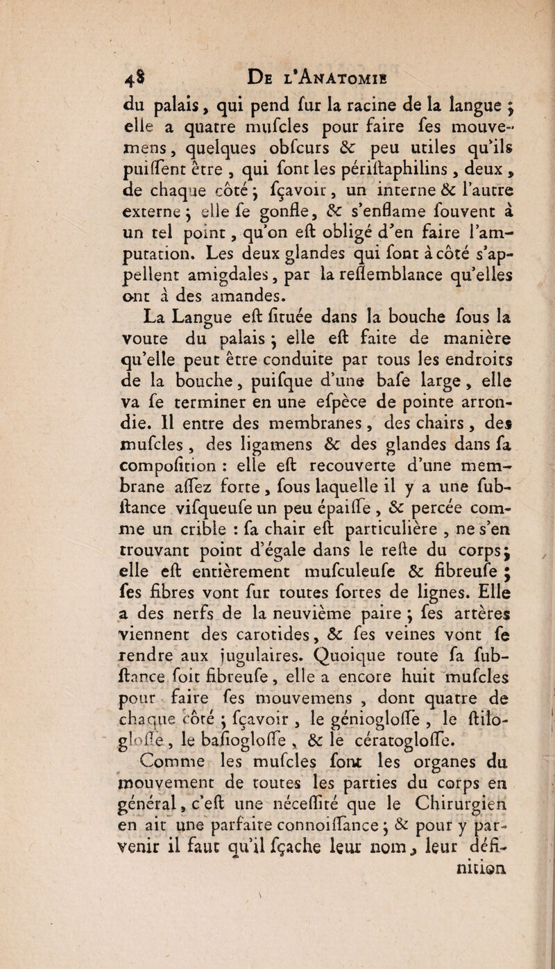 du palais, qui pend fur la racine de la langue ; elle a quatre mufcles pour faire fes mouve- mens, quelques obfcurs 8c peu utiles qu'ils puiffent être , qui font les périftaphilins, deux , de chaque coté j fçavoir, un interne 8c l’autre externe j elle fe gonfle, 8c s’enflame fouvent à un tel point, qu’on eft obligé d'en faire l’am¬ putation. Les deux glandes qui font à coté s’ap¬ pellent amigdales, par la reflemblance qu’elles ont à des amandes. La Langue eft fituée dans la bouche fous la voûte du palais j elle eft faite de manière qu’elle peut être conduite par tous les endroits de la bouche, puifque d’une bafe large, elle va fe terminer en une efpèce de pointe arron¬ die. 11 entre des membranes, des chairs, des mufcles , des îigamens 8c des glandes dans fa compofition : elle eft recouverte d’une mem¬ brane allez forte, fous laquelle il y a une fub- ftance vifqueufe un peu épaifle , 8c percée com¬ me un crible : fa chair eft particulière , ne s’en trouvant point d’égale dans le refte du corps j elle eft entièrement mufculeufe 8c fibreufe ; fes fibres vont fur toutes fortes de lignes. Elle a des nerfs de la neuvième paire ; fes artères viennent des carotides, 8c fes veines vont fe rendre aux jugulaires. Quoique toute fa fub- ftance foit fibreufe, elle a encore huit mufcles pour faire fes mouvemens , dont quatre de chaque côté ; fçavoir , le génioglofle , le ftilo- glofle, le bafioglofle s 8c le cératoglofle. Comme les mufcles font les organes du mouvement de toutes les parties du corps en général, c’eft une néceflité que le Chirurgien en ait une parfaite connoifiance j 8c pour y par¬ venir il faut qu’il fçache leur nom,? leur défi¬ nition