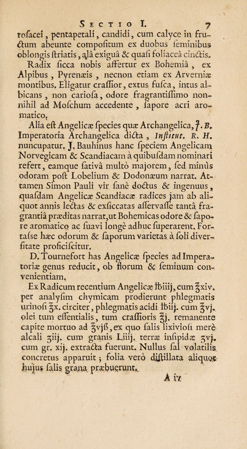 tofacei, pentapetali, candidi, cum calyce in fru¬ ctum abeunte compofltum ex duobus feminibus oblongis ftriatis , aja exigua Sc quali foliacea cindHs. Radix licca nobis affertur ex Bohemia , ex Alpibus , Pyrenasis , necnon etiam ex Arvernis montibus. Eligatur craflior, extus fufca, intus al¬ bicans , non cariola, odore fragrantiffimo non¬ nihil ad Mofchum accedente , lapore acri aro¬ matico. Alia eft Angelica fpecies qu^ Archangelica, f. B. Imperatoria Archangelica dida , Inftitut. R, H* nuncupatur. J. Bauhinus hanc fpeciem Angelicam Norvegicam & Scandiacam a quibufdam nominari refert, eamque fativa multo majorem, fed minus odoram poft Lobelium & Dodonaeum narrat. At¬ tamen Simon Pauli vir fane dodrus 8c ingenuus s quafdam Angelicas Scandiacas radices jam ab ali¬ quot annis ledtas & exficcatas allervafle tanta fra¬ grantia prasditas narrat,ut Bohemicas odore & lapo¬ re aromatice* ac fuavi longe adhuc fuper arent. For- talse hasc odorum & faporum varietas a foli diver- litate proficilcitur. D.Tournefort has Angelica? fpecies ad Impera¬ torias genus reducit, ob florum &; feminum con¬ venientiam, Ex Radicum recentium Angelicas feiiij, cum §xiv. per analylim chymicam prodierunt phlegmatis urinofl gx. circiter, phlegmatis acidi tfeiij. cum ^vj* olei tum effentialis, tum craffioris |j, remanente capite mortuo ad §vjfl,ex quo falis lixivioli mere alcali giij. cum granis Liiij. terra? infipidas £vj. cum gr. xij. extradla fuerunt. Nullus fal volatilis concretus apparuit $ folia vero diftillata aliquo# jfiujus falis grana praebuerunt.