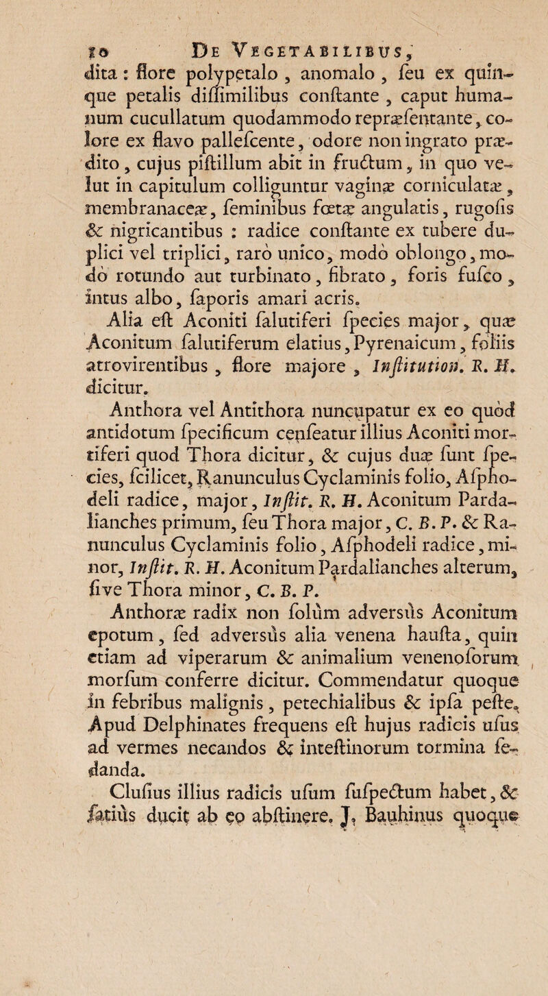 dita: flore polypetalo , anomalo , feu ex quin¬ que petalis diflimilibus conflante , caput huma¬ num cucullatum quodammodo reprsfentante, co¬ lore ex flavo pallefcente, odore non ingrato pro¬ dito , cujus piflillum abit in frudtum , in quo ve- lut in capitulum colliguntur vagina? corniculatae, membranacea, feminibus freta: angulatis, rugo fis Sc nigricantibus : radice conflante ex tubere du¬ plici vel triplici, raro unico, modo oblongo,mo¬ do rotundo aut turbinato, fibrato, foris fufco , intus albo, faporis amari acris. Alia efl Aconiti falutiferi fpecies major, qua? Aconitum falutiferum elatius, Pyrenaicum foliis atrovirentibus , flore majore , lnftitution. R. M. dicitur. Anthora vel Antithora nuncupatur ex eo qubcf antidotum fpecificum cepfeatur illius Aconiti mor¬ tiferi quod Thora dicitur, Sc cujus duae funt fpe¬ cies, fcilicet. Ranunculus Cyclaminis folio. Alpho- deli radice, major, Inftit. R. H. Aconitum Parda- lianches primum, feu Thora major, C. B. P. Sc Ra¬ nunculus Cyclaminis folio, Afphodeli radice, mi¬ nor, inftit. R. H. Aconitum Pardalianches alterum, fi ve Thora minor, C. B. F. Anthora? radix non folum adversus Aconitum epotum, fed adversus alia venena haufla, quin etiam ad viperarum Sc animalium venenoforum. morfum conferre dicitur. Commendatur quoque in febribus malignis, petechialibus Sc ipfa pefle* Apud Delphinates frequens efl hujus radicis ufus ad vermes necandos Sc inteflinorum tormina fe- danda. Clufius illius radicis ufum fufpe&um habet, Sc fetius ducit ab eo abflinere, J, Bauhinus quoque (