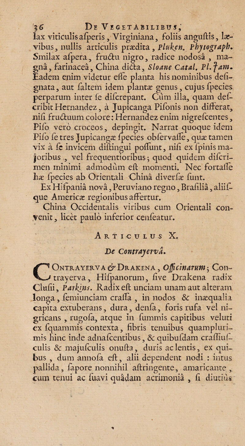 ''$6 D E V E G E T A B I L I B U S , lax viticulis afperis, Virginiana, foliis anguftis, lae¬ vibus , nullis articulis prodita , Pluken. Pbytograpb* Smilax alpera, frudfcu nigro, radice nodosa , ma¬ gna, farinacea, China didia, Sloane Catal. Pl.fam. Eadem enim videtur efle planta his nominibus defi- gnata, aut faltem idem plantae genus , cujus fpecies perparum inter fe diferepant. Cum illa, quam det cribit Hernandez, a Jupicanga Pifonis non differat, nifl frudfcuum colore: Hernandez enim nigrefeentes, Pifo vero croceos, depingit. Narrat quoque idem Pifo fe tres Jupicangae fpecies obfervafle, quae tamen vix a fc invicem diflingui poffunt, nifi ex fpinis ma¬ ioribus , vel frequentioribus j quod quidem diferi- men minimi admodum efl momenti. Nec fortafle hx fpecies ab Orientali China diverfae funt. Ex Hifpania nova, Peruviano regno, Braiilia, aliif- que America regionibus affertur. China Occidentalis viribus cum Orientali con¬ venit, licet paulo inferior cenfeatur. Arti-culus X. De ContrayervL GOntrayerva & Drakena , Officinarum ; Con- trayerva, Hifpanorum, flve Drakena radix Chifii, Parkins. Radix efl unciam unam aut alteram longa, femiunciam crafla , in nodos Sc inaequalia capita extuberans, dura, denfa, foris rufa vel ni¬ gricans , rugofa, atque in fummis capitibus veluti ex fquammis contexta, fibris tenuibus quampluri- mis hinc inde adnafeentibus, & quibufdam crafliuf- culis & majufculis onufta, duris ac lentis, ex qui¬ bus , dum annofa eft, alii dependent nodi : intus pallida, fapore nonnihil aftringente, amaricante , cum tenui ac fuavi quadam acrimonia, fi diutius a, J