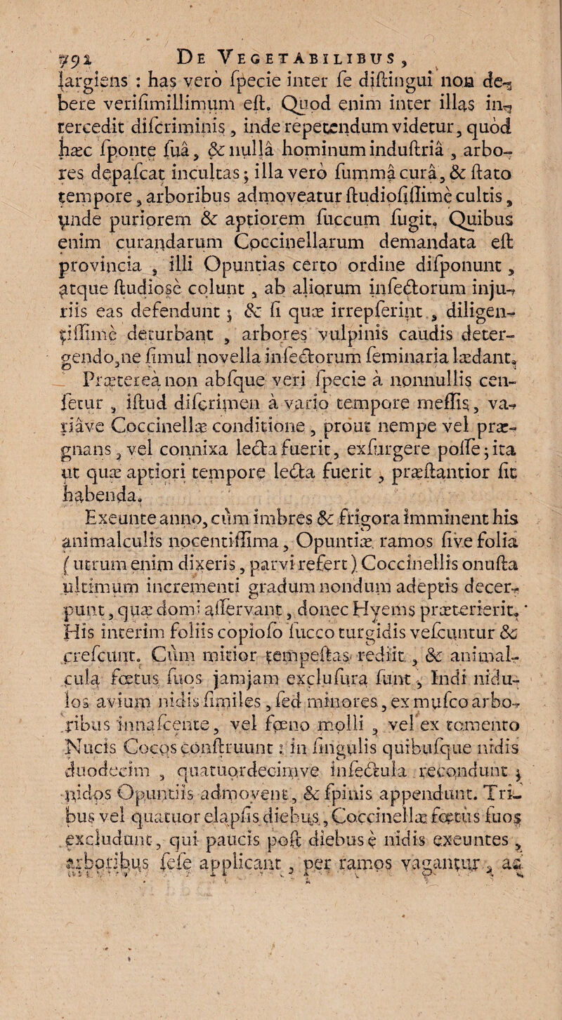 ?jyi De Vegetabilibus, |argiens : has vero fpecie inter fe djftingui non de-3 bere verifimillimum eft. Quod enim inter illas in^ tercedit difcriminis, inde repetendum videtur, quod jiax fponte fua, & nulla hominum induftria , arbo- res depafcat incultas; illa vero furnma cura, & flato tempore, arboribus admoveatur fludiofiflime cultis, ^nde puriorem & aptiorem fuccum fugit» Quibus enim curandarum Cpccinellarum demandata eft provincia , illi Opuntias certo ordine difponunt„ atque ftudiose colunt , ab aliorum infedorum inju4 riis eas defendunt $ Sc li quae irrepferint s diligen- pflime deturbant , arbores vulpinis caudis deter- gendopie fimul novella inledorum feminaria Iredant» Praterea non abfque veri fpecie a nonnullis cen- fetur 3 iftud diferimen a vado tempore meffis , va-f pave Coccinellte conditione 5 prout nempe vel prae¬ gnans ? vel connixa lecta fuerit, exfurgere poffepta ut qutc aptiori tempore leda fuerit, ptceftantior fit habenda» Exeunte anno, cum imbres Sc frigora imminent his animalculis nocentiflima, Opuntia, ramos five folia (utrum enim dixeris, parvi refert). Coccinellis onufta ultimum incrementi gradum nondum adeptis decem punt, qua; domi a fervant, donec Hyems praeterierit, * His incerim foliis copiofo fucco turgidis vefcuntur Sc crefcunto Cum mitior tempellas, rediit, Sc animal- cula foetus fuos jam jam exci u lura funt, Indi nidu¬ los avium nidis finftles,fed minores,exmufeoarbo^ .jribus innafceiite, vel fpeno molli , vel ex tomento Nucis Cocps conftruunt 1 in lingulis quibiifque nidis duodecim , quatuordeoimve infedula recondunt $ ■nidos Opuntiis admovent, & fpinis appendunt. Tri¬ bus vel quatuor eia piis diebus., Coccinellas fotus iuo$ excludunt , qui paucis poft diebus e nidis exeuntes arboribus fefe applicant, per ramos yaganpir^