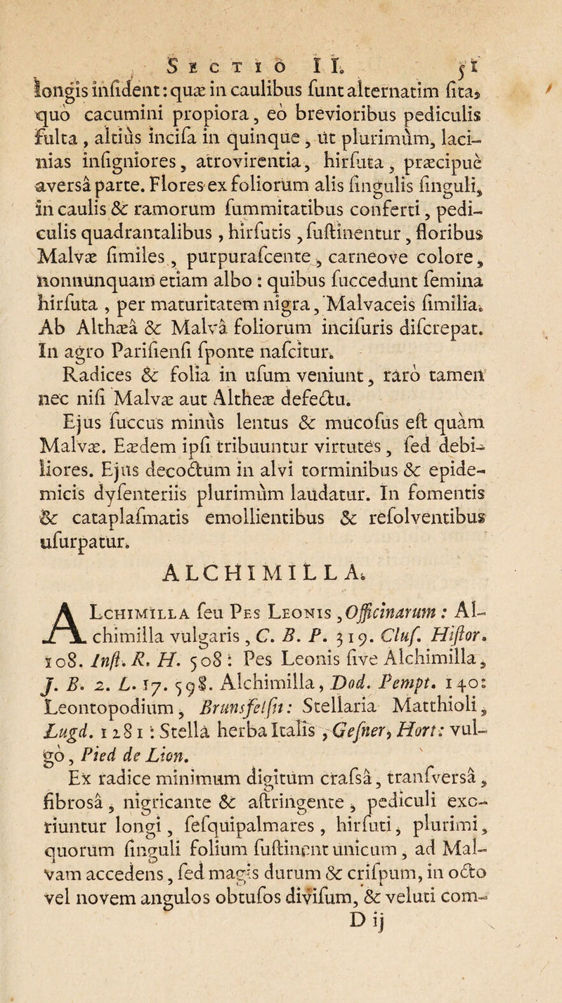 longis infldent: quae in caulibus funt alternarim flta5 quo cacumini propiora, eo brevioribus pediculis fulta , altius incifa in quinque , ut plurimum, laci¬ nias inflgniores, atrovirentia 5 hirfuta, praecipue aversa parte. Flores ex foliorum alis lingulis finguli, in caulis Sc ramorum fummitatibus conferti, pedi¬ culis quadrantalibus, hirfutis , fuftinentur, floribus Malvae flmiles ? purpurafeente^ carneove colore „ nonnunquain etiam albo : quibus fuccedunt femina hirfuta , per maturitatem nigra, ‘Malvaceis flmilia. Ab Althaea Sc Malva foliorum incifuris diferepat. In agro Parifienfl fponte nafcitun Radices Sc folia in ufum veniunt , raro tamen nec nili Malvae aut Altheae defedu. Ejus fueeus minus lentus Sc mucofus eft quam Malvae. Eadem ipfl tribuuntur virtutes, fed debi¬ liores. Ejus decodum in alvi torminibus Sc epide¬ micis dyfenteriis plurimum laudatur. In fomentis & cataplafmatis emollientibus Sc refolventibus ufurpatur. ALCHIMlLLAi ALchimilla feu Pes Leonis ,Officinarum: AI- chimilla vulgaris, C. B. P. 319. Cluf, Hiftor. 108. Infi.R, H. 508: Pes Leonis five Alchimilla s J. B. 2. L. 17. 598. Alchimilla, Dod. Pempt» 140: Leontopodium 5 Brunsfelfn: Stellaria Matthioli, Lugd. 1 x81 : Stella herba Italis ,Gefner, Hort: vul¬ go , Pied de Lion. Ex radice minimum dioitum crafsa, tranfversa, fibrosa 5 nigricante Sc aftringente > pediculi exo¬ riuntur longi, fefquipalmares, hir futi, plurimi, quorum frnguli folium fuftinent unicum , ad Mal¬ vam accedens, fed magis durum Sc crifpum, in odo vel novem angulos obtufos divifum, Sc velati com-