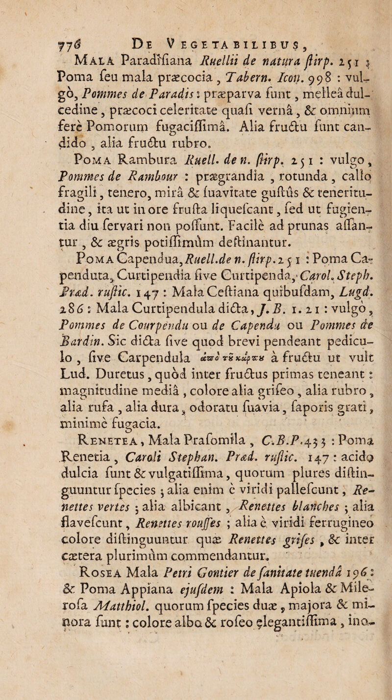 Mala Paradlliana Ruellii de natura fiirp. 2515 Poma feu mala praecocia , Tabem. Icon. 998 : vul¬ go, Pommes de Paradisi praeparva funt, mellea dul¬ cedine , praecoci celeritate quafi verna, & omnium fere Pomorum fugaciffima. Alia fru£tu funt can¬ dido 3 alia fru&u rubro. Poma Rambura Ruell. den. fiirp. 251: vulgo, Pommes de Rambour : praegrandia , rotunda, callo fragili, tenero, mira & fuavitate guftus & teneritu- dine, ita ut in ore frufta liquefcanc, led ut fugien¬ tia diu fervari non poliunt. Facile ad prunas affan¬ tur , Sc aegris potiilimum deftinantur. Poma CapeiuJua37?«£//.^ n. fiirp. 251 : Poma Ca» penduta, Curtipendia live Cnrtipenda,* CaroL Steph. Prad. rufiic. 147 : MalaCeftiana quibufdam, Lugd. 1861 MalaCurtipenduladidta,/.B. 1.21 : vulgo, Pommes de Courpendu ou de Capendu ou Pommes de Bardin. Sic didta live quod brevi pendeant pedicu¬ lo , live Garpendula a frudhi ut vult Lud. Duretus, quod inter fru&us primas teneant 1 magnitudine media , colore alia grileo , alia rubro, alia rufa , alia dura s odoratu fuavia, laporis grati, minime fugacia. Rehetea , Mala Prafomila , C.B.F,45 5 : Poma Renetia , Carali Stephan. Prad. rufiic. 147: acido dulcia funt &vulgatillima, quorum plures diftin- guuntur fpecies ° alia enim e viridi pallefcunt, Re- nettes vertes *, alia albicant , Renettes blanches ; alia flavefcimt, Renettes roujfes ; alia c viridi ferrugineo colore diflinguuntur quas Renettes grifies , & inter castera plurimilm commendantur. Rosea Mala Petri Gontier de fanitate tuenda 1961 & Poma Appiana ejufdem : Mala Apiola & Mile- rofa Matthiol. quorum fpecies duas, majora & mi¬