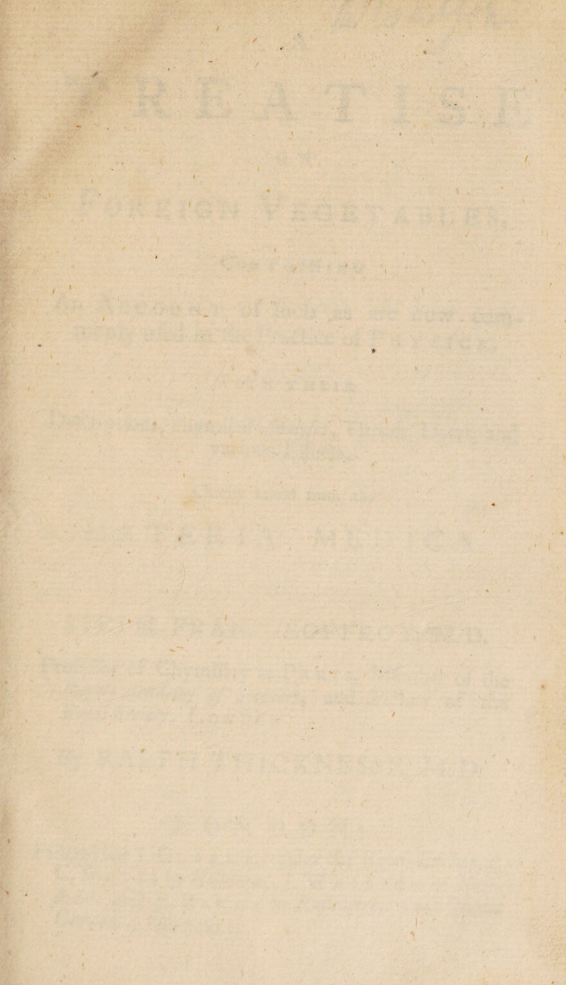 I r / / ' f • % f * s.*< V t I I I I i * f t i \ \ ■ \ ) / i I l / I \ » 1 / / \ ■ { / ' t