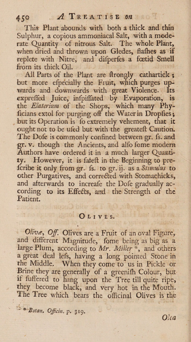 This Plant abounds with both a thick and thin Sulphur, a copious ammoniacal Salt, with a mode¬ rate Quantity of nitrous Salt. The whole Plant, when dried and thrown upon Gledes, flafhes as if replete with Nitre, and difperfes a foetid Smell from its thick Oil. All Parts of the Plant are ftrongly cathartick ; but more efpecially the Fruit, which purges up¬ wards and downwards with great Violence. Its expreffed Juice, infpiffated by Evaporation, is the Elaterium of the Shops, which many Phy- ficians extol for purging off the Water in Dropfies; but its Operation is fo extremely vehement, that it ought not to be ufed but with the greatefl Caution. The Dofe is commonly confined between gr. fs. and gr. v. though the Ancients, and alfo fome modem Authors have ordered it in a much larger Quanti¬ ty. However, it is fafeft in the Beginning to pre- fcribe it only from gr. fs. to gr. ij. as a Stimulus to other Purgatives, and corrected with Stomachicks, and afterwards to increafe the Dofe gradually ac¬ cording to its Effects, and the Strength of the Patient. Olives. i Olivet Off. Olives are a Fruit of an oval Figure, and different Magnitude, fome being as big as a large Plum, according to Mr. Miller *, and others a great deal lefs, having a long pointed Stone in the Middle. When they come to us in Pickle or Brine they are generally of a greenifh Colour, but if fuffered to hang upon the Tree till quite ripe, they become black, and very hot in the Mouth. The Tree which bears the officinal Olives is the * Botan. Officin. p, 319, Oka