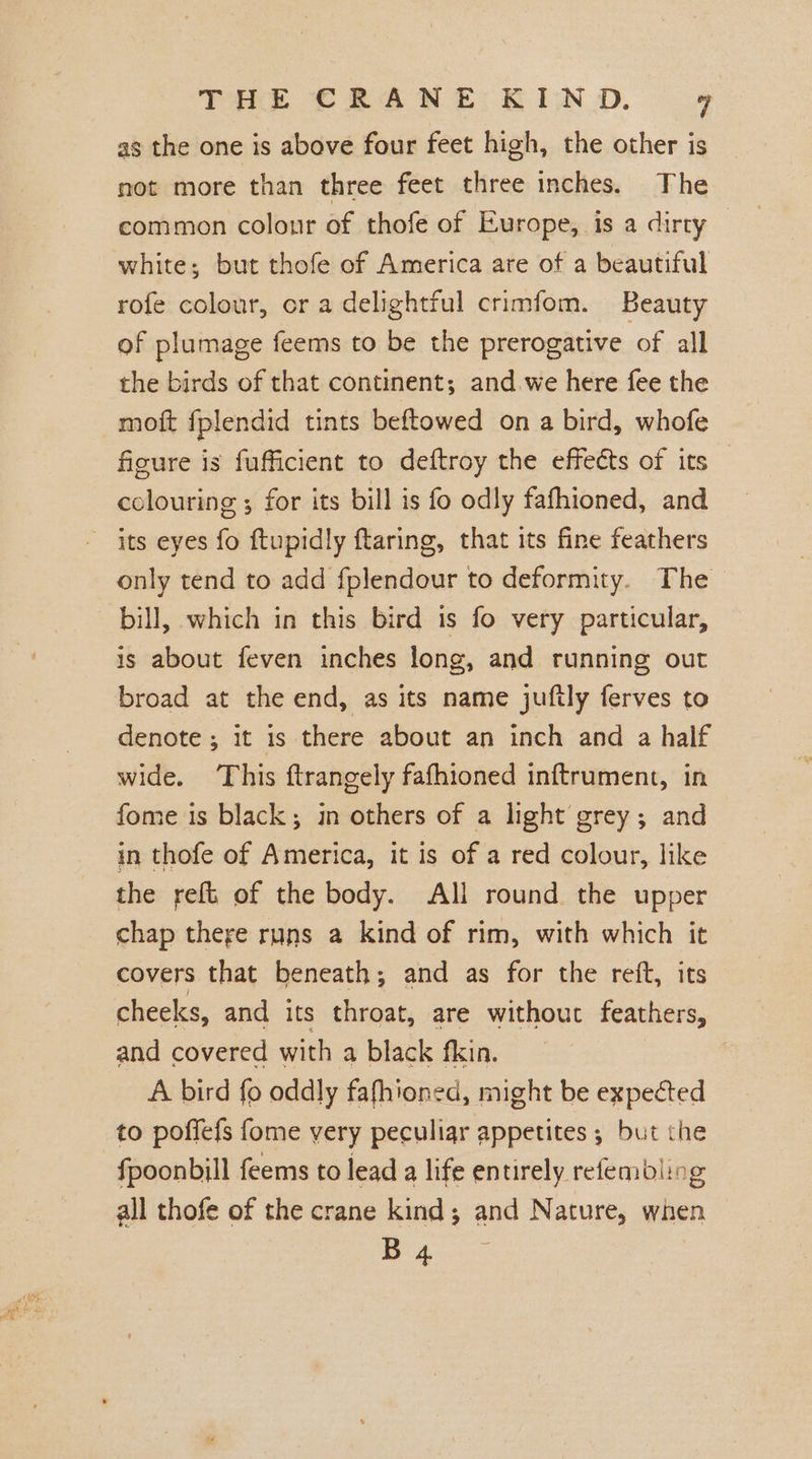 as the one is above four feet high, the other is not more than three feet three inches. The common colour of thofe of Europe, is a dirty — white; but thofe of America are of a beautiful rofe colour, or a delightful crimfom. Beauty of plumage feems to be the prerogative of all the birds of that continent; and we here fee the moft fplendid tints beftowed on a bird, whofe figure is fufficient to deftroy the effects of its colouring ; for its bill is fo odly fafhioned, and its eyes fo ftupidly ftaring, that its fine feathers only tend to add fplendour to deformity. The bill, which in this bird is fo very particular, is about feven inches long, and running out broad at the end, as its name juftly ferves to denote ; it is there about an inch and a half wide. This ftrangely fafhioned inftrument, in fome is black; in others of a light grey; and in thofe of America, it is of a red colour, like the reft of the body. All round the upper chap there runs a kind of rim, with which it covers that beneath; and as for the reft, its cheeks, and its throat, are without feathers, and covered with a black fkin. A bird fo oddly fafhioned, might be expected to poffefs fome very peculiar appetites ; but the fpoonbill feems to lead a life entirely refembling all thofe of the crane kind; and Nature, when — B4