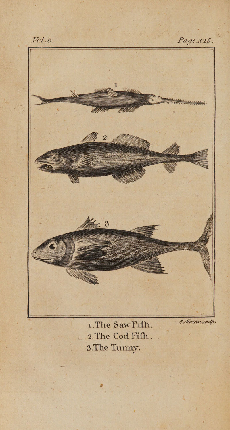 Page.325. 1.The Saw Fith. ok CMartin toute 2.The Cod Fifth. . | 3.The Tunny. a . 4