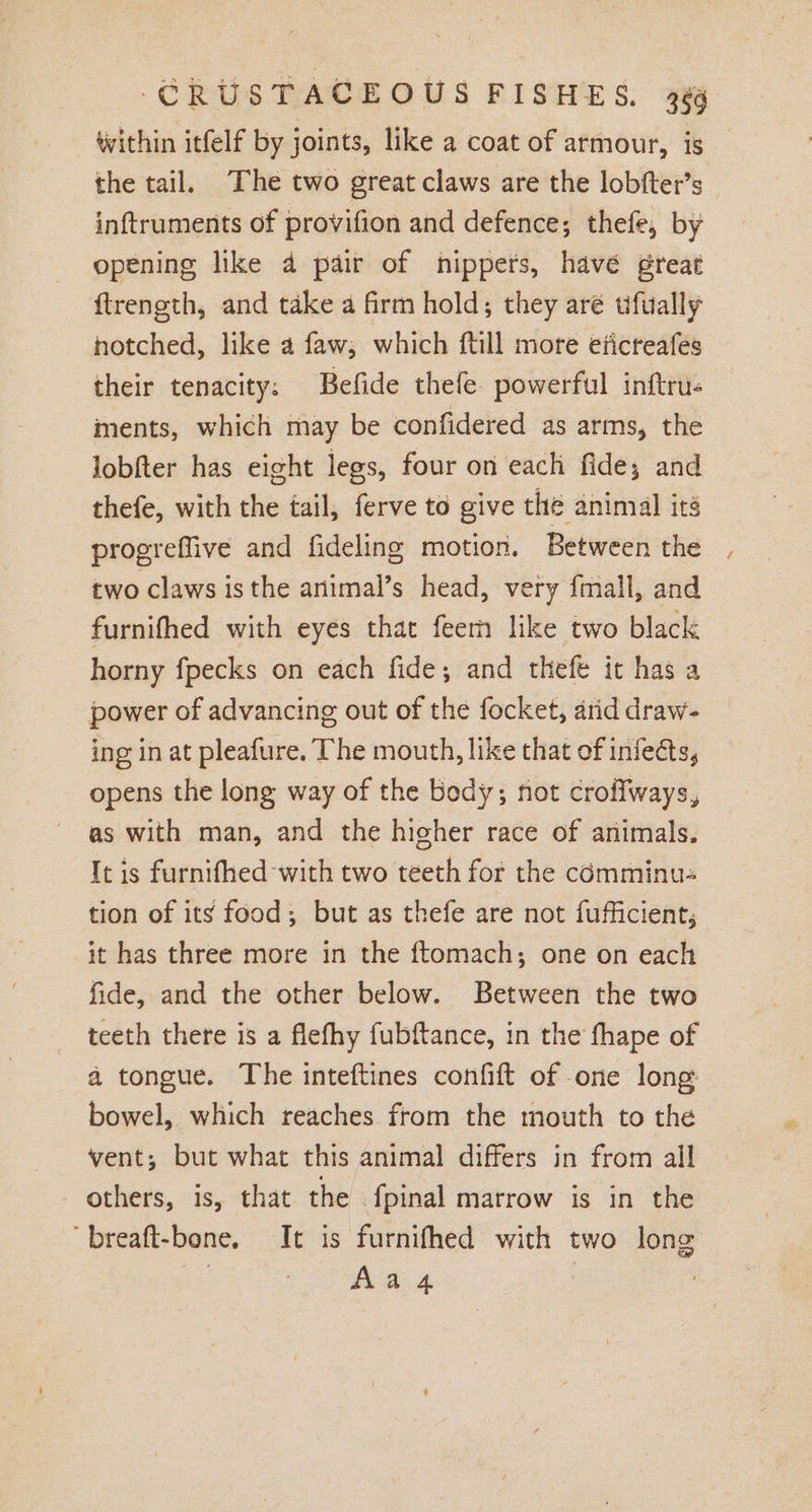 within itfelf by joints, like a coat of armour, is _ the tail. The two great claws are the lobfter’s — inftruments of provifion and defence; thefe, by opening like 4 pair of nippers, havé great ftrength, and take a firm hold; they aré tifually notched, like a faw, which ftill more eficreafes their tenacity: Befide thefe powerful inftru- ments, which may be confidered as arms, the lobfter has eight legs, four on each fide; and thefe, with the tail, ferve to give thé animal its progreffive and fideling motion. Between the two claws isthe animal’s head, very {mall, and furnifhed with eyes that feern like two black horny fpecks on each fide; and thefe it has a power of advancing out of the focket, arid draw- ing in at pleafure. The mouth, like that of infects, opens the long way of the bedy; not croffways, as with man, and the higher race of animals. It is furnifhed with two teeth for the comminu- tion of its food; but as thefe are not fufficient, it has three more in the ftomach; one on each fide, and the other below. Between the two teeth there is a flefhy fubftance, in the fhape of a tongue. The inteftines confift of one long bowel, which reaches from the mouth to the vent; but what this animal differs in from all others, is, that the f{pinal marrow is in the ‘breaft-bone. It is furnifhed with two long } eae |