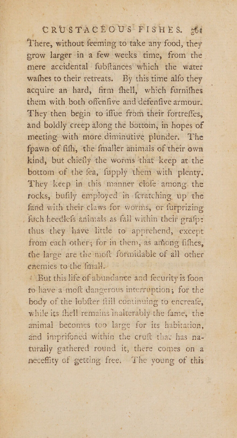 ¢ ha) CRUSTACEOUS FISHES. Hi There, without feeming to take any food, they erow larger in a few weeks time, from the mere accidental fubftances' which the water wafhes to their retreats. By this time alfo they acquire an hard, firm fhell, which furnilhes them with both offenfive and defenfive armour. They then begin to iffue from their fortreffes, and boldly creep along the bottom, in hopes of meeting with more diminutive plunder. The foawn of fith, ‘the fmaller animals of their own kind, but chiefly the worms that keep at the bottom of the fea, fupply them with plenty. They keep in this manner clofe: among. the rocks, bufily employed ‘yA fe ‘atching, up the fand with their claws for worms, or furprizing _ fich heedlefs animals as fall within their grafp: thus they have little to’ apprehend, except from each other; for in them, as atone fies, the large are the moft formidable of all other enemies tothe {mall : © But this life of abundanee and fecurity is foon to havea moft dangerous interruption; for the ‘body of the lobfter flill continuing to encreafe, while its fhell remains inalterably the fame, the animal becomes too large for its habitation, and imprifoned within the cruft thac has na- futally gathered round it, there comes on a necefity of getting free. The young of this