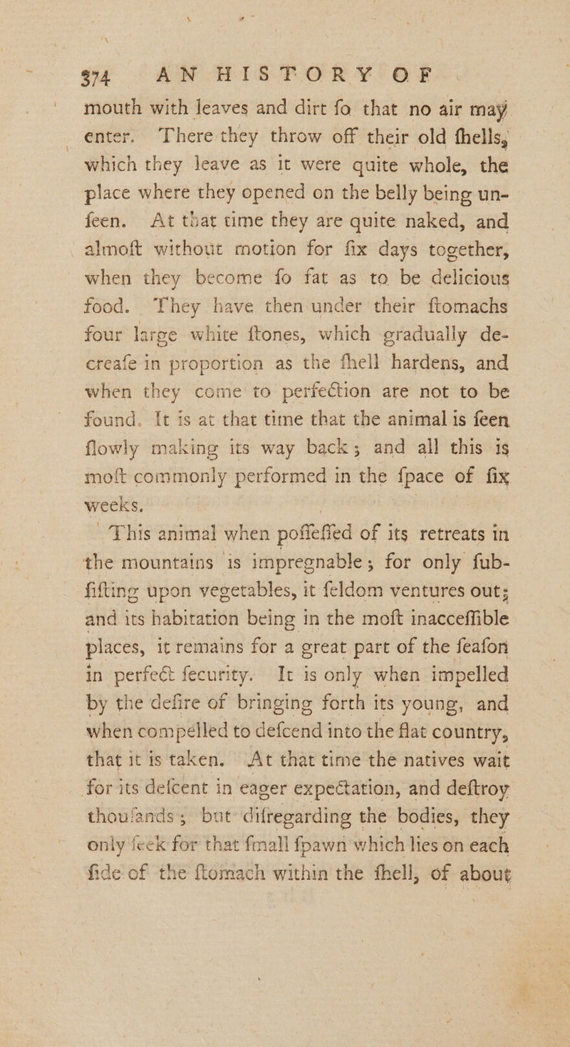 my $74 AN HISTORY OF mouth with leaves and dirt fo that no air may enter. There they throw off their old thells, which they leave as it were quite whole, the place where they opened on the belly being un- feen. At that time they are quite naked, and almoft without motion for fix days together, when they become fo fat as to be delicious food. They have then under their ftomachs four large white ftones, which gradually de- creafe in proportion as the fhell hardens, and when they come to perfection are not to be found. It is at that time that the animal is feen flowly making its way back; and all this is moft commonly performed in the fpace of fix weeks, 7 | This animal when poflefied of its retreats in the mountains is impregnable; for only fub- fitting upon vegetables, it feldom ventures out; and its habitation being in the moft inacceffible places, it remains for a great part of the feafon in perfect fecurity. It is only when impelled by the defire of bringing forth its young, and when compelled to defcend into the flat country, that it is taken. At that time the natives wait for its defcent in eager expectation, and deftroy thoulands; but’ difregarding the bodies, they only feek for that fmall fpawn which lies on each ide. of the fomach within the fhell, of about