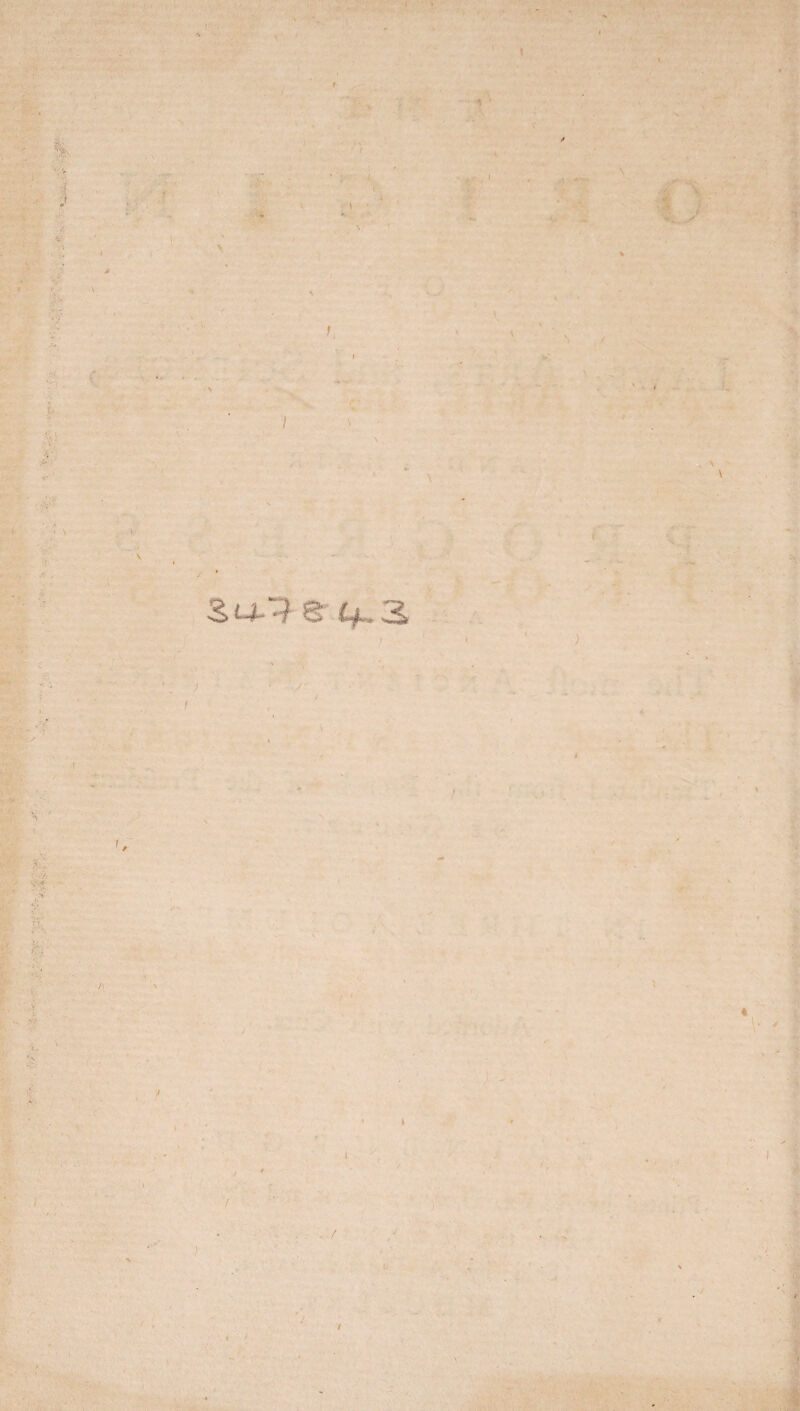 y H I \ Su-l 8 4-3 « t / ) l