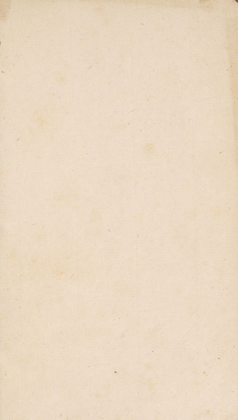 f (!• I V V ■t I tf At I' ••.•. ■ , . .* > ( V t / ^ . \ 1 » ' »' '■/: 4 A* \ *4, r V /:> • * t» ■ If. >* IJ'.' ^ ’ i4i’{ f-» •- ( f 1 ,^,7. ,, 'X ^; •; . 0 ^ s