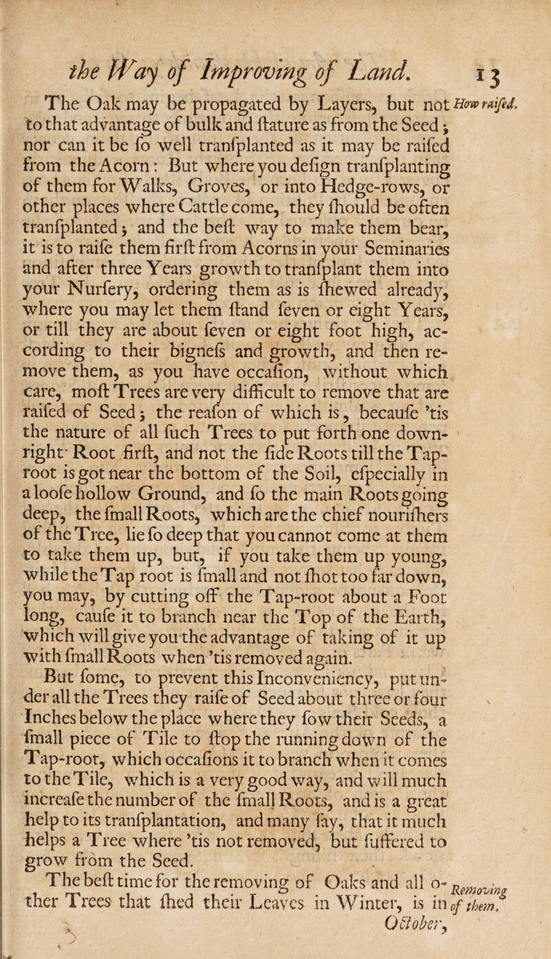 The Oak may be propagated by Layers, but not raifed. to that advantage of bulk and ftature as from the Seed3 nor can it be fo well tranfplanted as it may be raided from the Acorn: But where you deflgn tranfplanting of them for Walks, Groves, or into Hedge-rows, or other places where Cattle come, theyfhould be often tranfplanted 3 and the bed: way to make them bear, it is to raife them firft from Acorns in your Seminaries and after three Years growth to tranfplant them into your Nurfery, ordering them as is die wed already, where you may let them Hand feven or eight Years, or till they are about feven or eight foot high, ac¬ cording to their bignefs and growth, and then re¬ move them, as you have occafion, without which care, mod: Trees are very difficult to remove that are raifed of Seed 3 the reafon of which is, becaufe ’tis the nature of all fuch Trees to put forth one down¬ right' Root fird;, and not the fide Roots till the Tap¬ root is got near the bottom of the Soil, cfpecially in a loofe hollow Ground, and fo the main Roots going deep, the fmall Roots, which are the chief nourifhers of the Tree, liefo deep that you cannot come at them to take them up, but, if you take them up young, while the Tap root is (mail and not diot too far down, you may, by cutting off the Tap-root about a Foot long, caufe it to branch near the Top of the Earth, which will give you the advantage of taking of it up with fmall Roots when ’tis removed again. But fome, to prevent this Inconveniency, put un¬ der all the Trees they raife of Seed about three or four Inches below the place where they fow their Seeds, a fmall piece of Tile to ftopthe running down of the Tap-root, which occafions it to branch when it comes to the Tile, which is a very good way, and will much increafe the number of the final) Roots, and is a great help to its tranfplantation, and many fay, that it much helps a Tree where ’tis not removed, but differed to grow from the Seed. The bed: time for the removing of Oaks and all o- Rem• ther Trees that fhed their Leaves in Winter, is in of them f October,