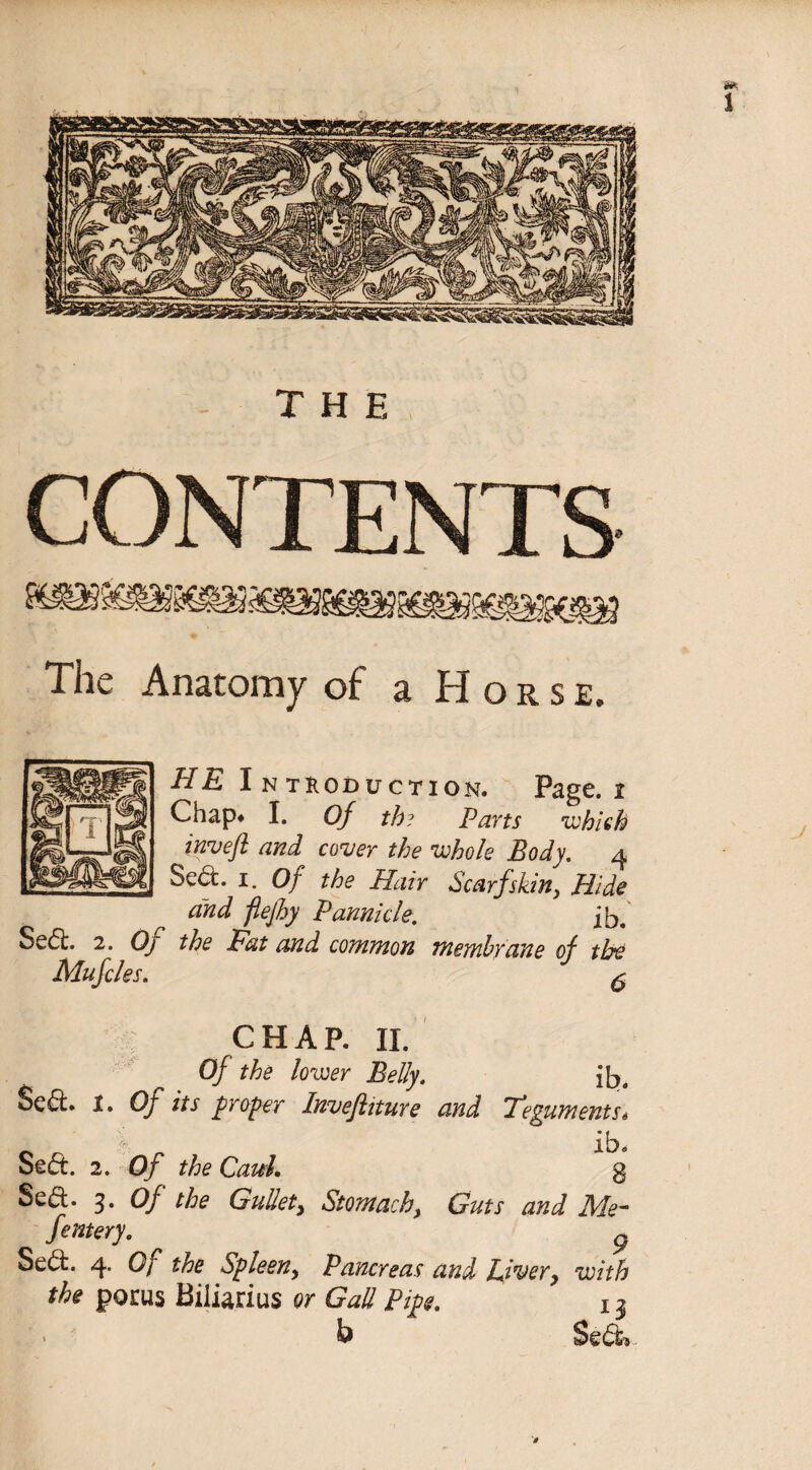 THE CONTENTS The Anatomy of a Horse. HE Introduction. Page, i Chap* I. Of th? Parts which invefl and cover the whole Body. 4 Sed. 1. Of the Hair Scarf skin. Hide and jlejhy Pannicle. ih. Se<5t. 2. Oj the Fat and common mewhyane of the Alufcles. ^ CHAP. II. Of the lower Belly. fb. Se6t. I. Of its proper Invefhture and Teguments* x ' „ ib. oect. 2. Of the Caul. g Sea. 3. Of the Gullety Stomachy Guts and Me- fernery. p Sea. 4. 0/' Spleeny Pancreas and Livery with the porus Biliarius or Gall Pipe, 1 ^ b Sedh