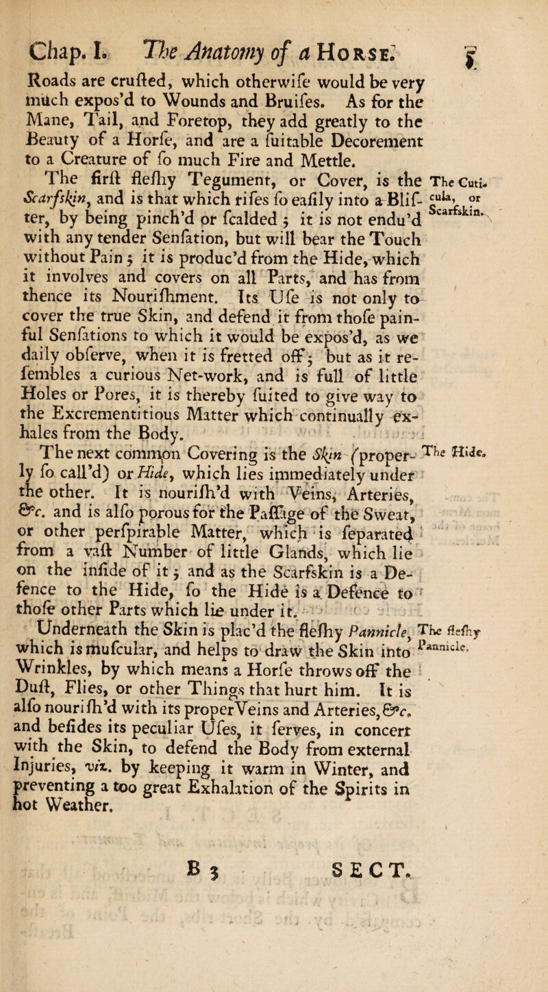 Roads are crufted, which otherwife would be very much expos’d to Wounds and Bruifes. As for the Mane, Tail, and Foretop, they add greatly to the Beauty of a Horfe, and are a fuitable Decorement to a Creature of fo much Fire and Mettle. The firft fleiliy Tegument, or Cover, is the The Cuti- Scdrfskin, and is that which rifes foealily into a-Blif- £uk’ ?r ter, by being pinch’d or fcalded $ it is not endu’d car sIua* with any tender Senfation, but will bear the Touch without Pain $ it is produc’d from the Hide, which it involves and covers on all Parts, and has from thence its Nourifhment. Its Ole is not only to cover the true Skin, and defend it fromthofe pain¬ ful Senfations to which it would be expos’d, as we daily obferve, when it is fretted off $ but as it re- fembles a curious Net-work, and is full of little Holes or Pores, it is thereby fuited to give way to the Excrement!tious Matter which continually ex¬ hales from the Body. The next commpn Covering is the S!(in (proper- T?ie ly fo call’d) or Hide, which lies immediately under the other. It is nourilh’d with Veins, Arteries, &c. and is alfo porous for the PalFage of the Sweat, or other perfpirable Matter, which is feparatecjL from a yaft Number of little Glands, which lie on the inlide of it, and as the Scarfskin is a De¬ fence to the Hide, fo the Hide is a Defence to thofe other Parts which lie under it. Underneath the Skin is plac’d the flefhy Pannicle, Tfvc fle&y which ismufcular, and helps to draw the Skin into* Pannicie- Wrinkles, by which means a Horfe throws off the Dull, Flies, or other Things that hurt him. It is alfo nourilh’d with its properVeins and Arteries, and befides its peculiar Ufes, it ferves, in concert with the Skin, to defend the Body from external Injuries, viz. by keeping it warm in Winter, and preventing a too great Exhalation of the Spirits in hot Weather.