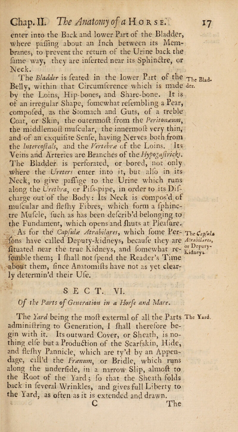 enter into the Back and lower Part of the Bladder, where pairing about an Inch between its Mem¬ branes* to prevent the return of the Urine back the fame way, they are inferted near its Sphinctre, or Neck. The Bladder is feated in the lower Part of the Tlic Bla(3< Belly, within that Circumference which is made der. by the Loins, Hip-bones, and Share-bone. It is of an irregular Shape, fomewhat refembling a Pear, compofed, as the Stomach and Guts, of a treble Coat, or Skin* the outermoft from the Peritonaeum, the middlemen mufeuiar, the innermofl: very thin, and of an exquiiite Senfe, having Nerves both from the Intercojials, and the Vertebrae of the Loins. Its Veins and Arteries are Branches of the Hybofafiricks. The Bladder is perforated, or bored, not only where the Ureters enter into it, but alio in its Neck, to give paffige to the Urine which runs along the Urethra, or Pifs-pipe, in order to its Dif- charge out of the Body: Its Neck is compos’d of mufeuiar and flefhy Fibres, which form a fphinc- tre Mufcle, fuch as has been deferib’d belonging to the Fundament, which opens and Bruts at Pieafure- As for the Capful a Atrabilares, which fome Per- The Capful* Tons have called Deputy-kidneys, becaufe they are Atrabilares, Btuated near the true Kidneys, and fomewhat re- jf^yT^ femblethenij I Biall not fpend the Reader’s Time about them, flnee Anatomifts have not as yet clear¬ ly determin’d their Ufe. SECT. VI. Of the Parts of Generation in a Horfe and Mare. \ The Yard being the mofl external of all the Parts The Yard, adminiflring to Generation, I fhall therefore be¬ gin with it. Its outward Cover, or Sheath, is no¬ thing elfe but a Production of the Scarfskin, Hide, and flefhy Pannicle, which are ty’d by an Appen¬ dage, call’d the Frcenum, or Bridle, which runs along the underflde, in a narrow Slip, almoft to the Root of the Yard 5 fo that the Sheath folds back in feveral Wrinkles, and gives full Liberty to the Yard, as often as it is extended and drawn. C The c