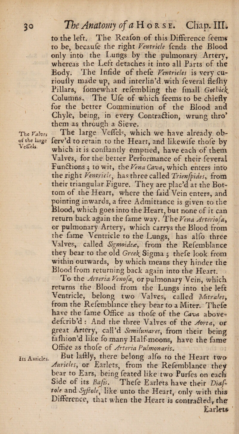 3° i The Valves of the large VelTels. its Auricles. The Anatomy d/«Horse. Chap. III. to the left. The Reafon of this Difference feems to be, becaufe the right Ventricle fends the Blood only into the Lungs by the pulmonary Artery, whereas the Left detaches it into all Parts of the Body. The Inlide of thefe Ventricles is very cu- rioufly made up, and interlin’d with feveral flefhy Pillars, fomewhat refembling the fmall Gothicl^ Columns. The Ufe of which feems to be chiefly for the better Comminution of the Blood and Chyle, being, in every Contra&ion, wrung thro’ them as through a Sieve. The large Veffeb, which we have already ob- ferv’d to retain to the Heart, and likewife thofe by which it is conftandy emptied, have each of them Valves, for the better Performance of their feveral Functions, to wit, the Vena Cavay which enters into the right Ventricle^ has three called Trienfpides, from their triangular Figure. They are plac’d at the Bot¬ tom of the Heart, where the faid Vein enters, and pointing inwards, a free Admittance is given to the Blood, which goes into the Heart, but none of it can return back again the fame way. The Vena Arteriofa, or pulmonary Artery, which carrys the Blood from the fame Ventricle to the Lungs, has alfo three Valves, called Sigmoide#, from the Refemblance they bear to the old Greeks Sigma 5 thefe look from within outwards, by which means they hinder the Blood from returning back again into the Heart. To the Arteria Venofa, or pulmonary Vein, which returns the Blood from the Lungs into the left Ventricle, belong two Valves, called Mitralesr from the Refemblance they bear to a Miter. Thefe have the fame Office as thofe of the Cava above- defcrib’d : And the three Valves of the Aorta, or great Artery, call’d Semilunaresy from their being fafhion’d like fo many Half-moons, have the fame Office as thofe of Arteria Pulmonaris. But laflly, there belong alfo to the Heart two Auricles, or Earlets, from the Refemblance they bear to Ears, being feated like two Purfes on each Side of its Bafis, Thefe Earlets have their Viaf- tole and Syfloley like unto the Heart, only with this Difference, that when the Heart is con trailed, the £arkt$