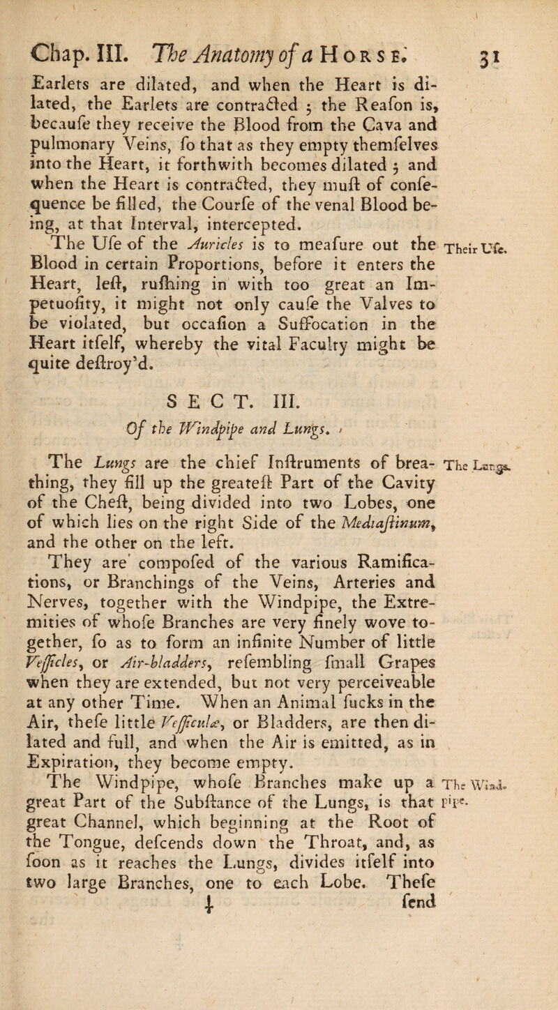 Chap. III. The Anatomy of a Hors*. Earlets are dilated, and when the Heart is di¬ lated, the Earlets are contra&ed 5 the Reafon is, becaufe they receive the Blood from the Cava and pulmonary Veins, fo that as they empty themfelves into the Heart, it forthwith becomes dilated 3 and when the Heart is contracted, they muft of confe¬ rence be filled, the Courfe of the venal Blood be¬ ing, at that Interval, intercepted. The Ufe of the Auricles is to meafure out the Blood in certain Proportions, before it enters the Heart, left, ruffling in with too great an Im- petuofity, it might not only cauie the Valves to be violated, but occafion a Suffocation in the Heart itfelf, whereby the vital Faculty might be quite deffroy’d. SECT. III. Of the Windpipe and Lungs, > The Lungs are the chief Inftruments of brea¬ thing, they fill up the greateft Part of the Cavity of the Cheff, being divided into two Lobes, one of which lies on the right Side of the Mediaftimtm, and the other on the left. They are compofed of the various Ramifica¬ tions, or Branchings of the Veins, Arteries and Nerves, together with the Windpipe, the Extre¬ mities of whofe Branches are very finely wove to¬ gether, fo as to form an infinite Number of little Vejjicles, or Air-bladders, refembling fmall Grapes when they are extended, but not very perceiveable at any other Time. When an Animal fucks in the Air, thefe little VeJficuU, or Bladders, are then di¬ lated and full, and ^when the Air is emitted, as in Expiration, they become empty. The Windpipe, whofe Branches make up a great Part of the Subftance of the Lungs, is that great Channel, which beginning at the Root of the Tongue, defcends down the Throat, and, as foon as it reaches the Lungs, divides itfelf into two large Branches, one to each Lobe. Thefe | fend Their Ufe. The Lan^s. The Ws»ii. pipe.